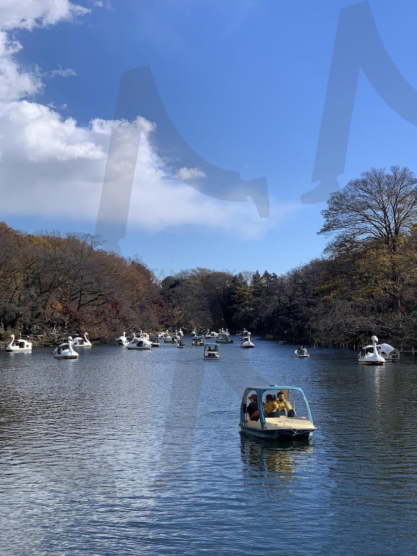 일본 공원 | 일본감성, 공원, 일본, 오리배, 감성사진 | 스탠바이 STANDBUY 디지털 콘텐츠