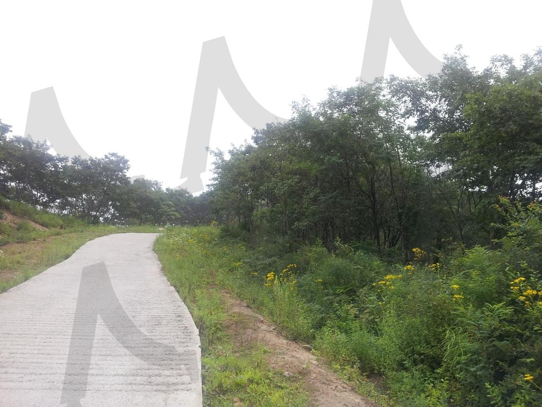 대성산 등산로 | 대성산, 대성산 등산로, 신비의 산, 대성산으로 가는 길, 아름다운 강원도 | 스탠바이 STANDBUY 디지털 콘텐츠