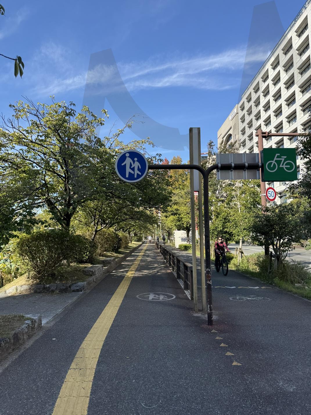 비 내린 후의 포장도로 | 일본 거리, 포장도로, 비 내린 후, 감성적인, 도시 풍경, 촉촉한 거리, 밝은 하늘, 골목길 | 스탠바이 STANDBUY 디지털 콘텐츠