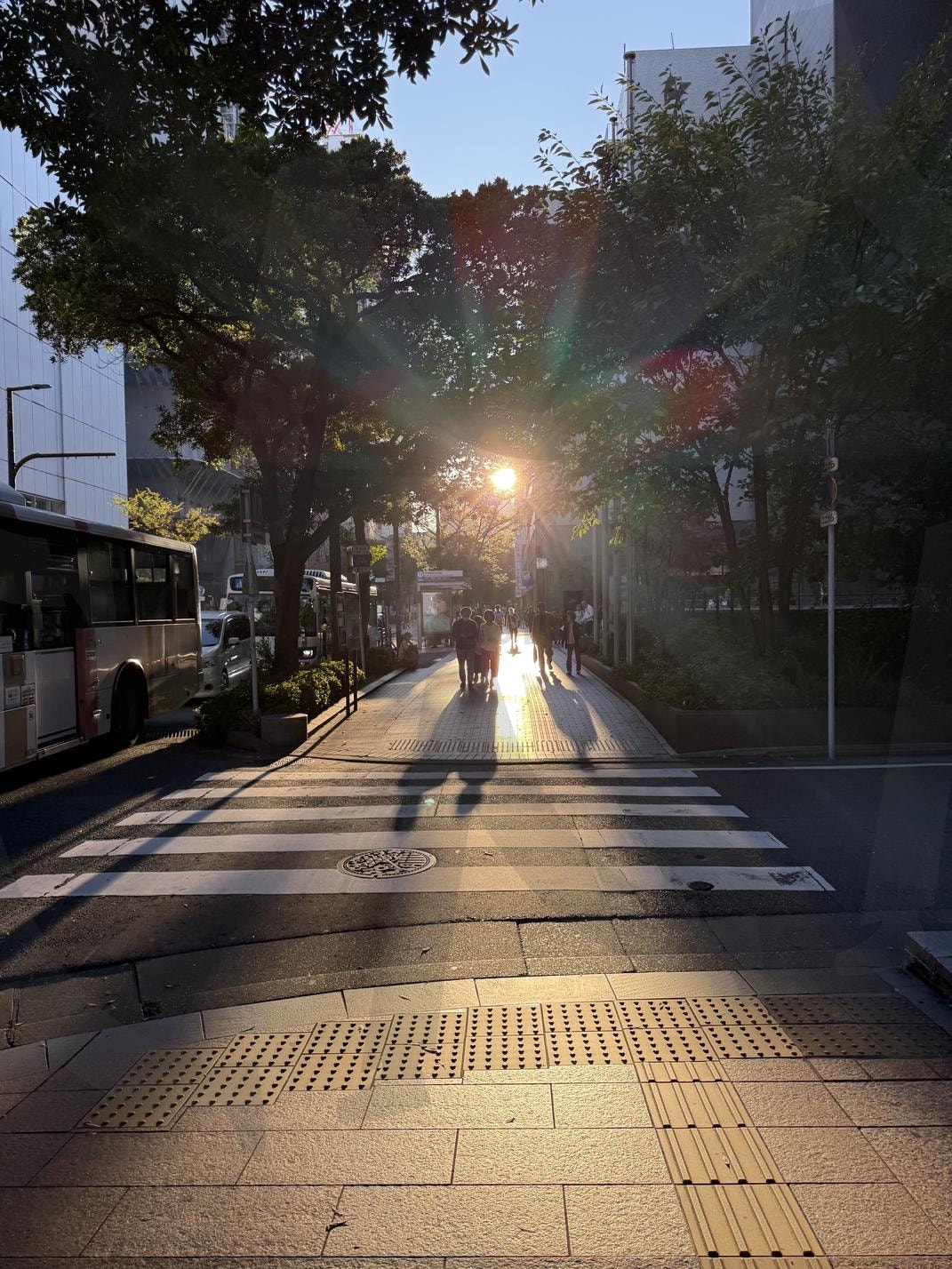 일본 여행 퇴근길 | 저녁노을, 햇살, 일본 여행, 거리, 퇴근길 | 스탠바이 STANDBUY 디지털 콘텐츠