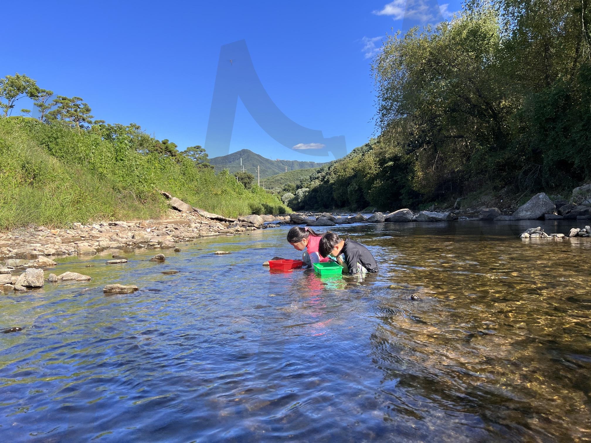 여름의 냇가 | 계곡, 냇가, 개천, 여름, 채집, 어린이 | 스탠바이 STANDBUY 디지털 콘텐츠