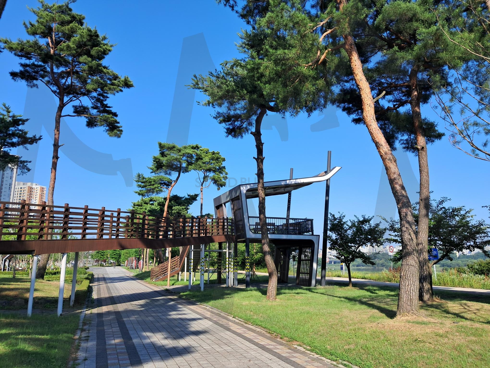 소나무 캠핑장 | 소나무, 캠핑, 세종시, 금강 소나무 캠핑, 시민 휴식공간 | 스탠바이 STANDBUY 디지털 콘텐츠