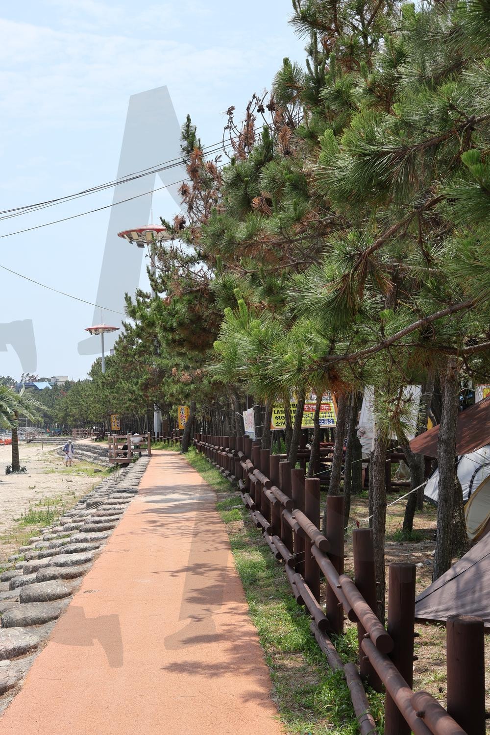 솔나무길 | 솔나무길, 해변산책로, 산책로, 바다앞산책, 오류고아라해변, 캠핑, 솔나무 | 스탠바이 STANDBUY 디지털 콘텐츠