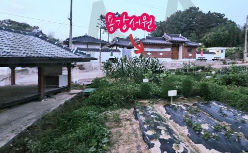 원동 주말농장 | 원동, 주말농장, 용강서원, 옥수수, 방울토마토, 고추, 가지, 애호박, 깻잎, 상추 | 스탠바이 STANDBUY 디지털 콘텐츠