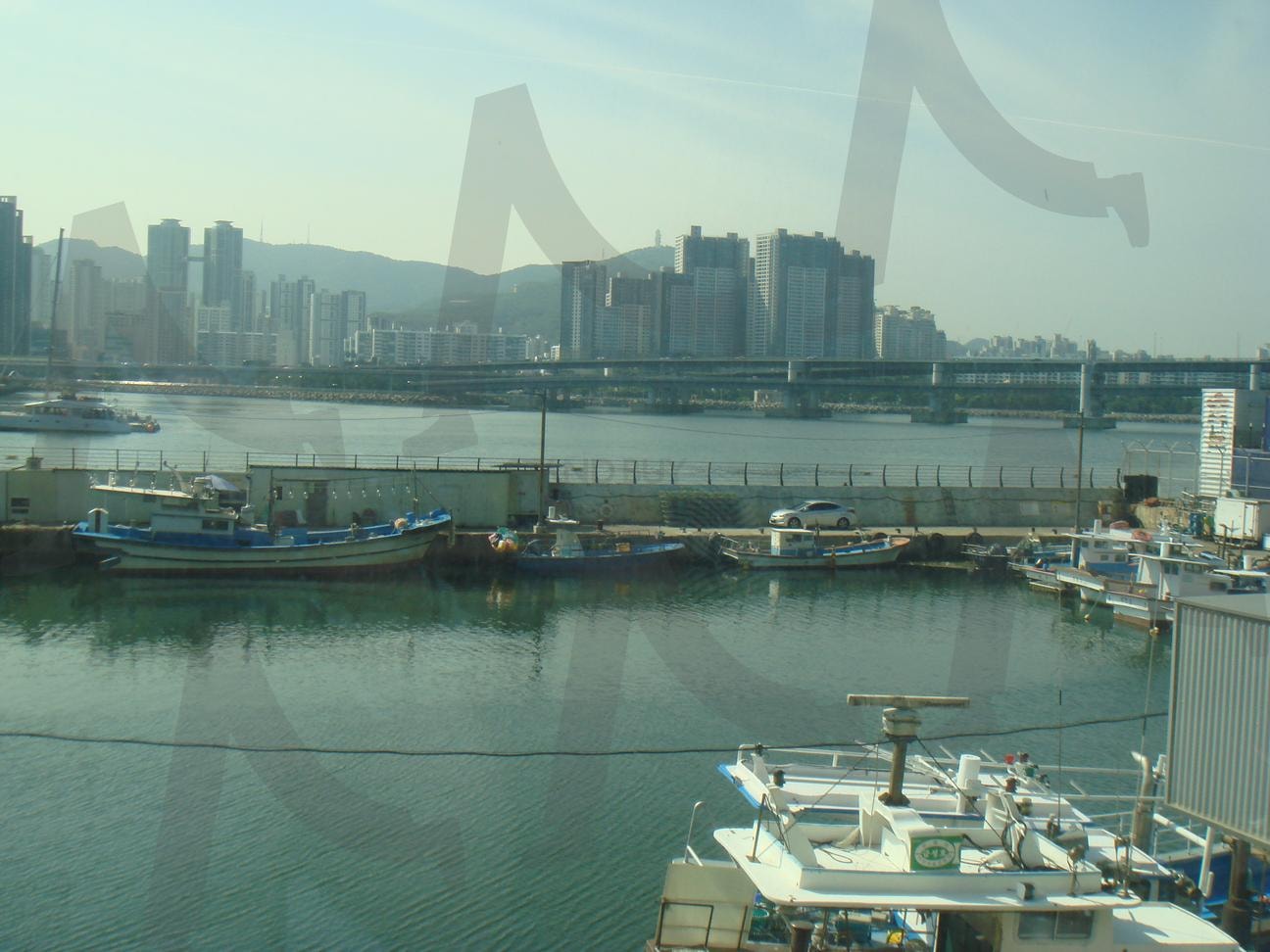 Quiet Morning at the Harbor | BusanDailyLife, MorningVibes, KoreanCoastline, BusanView, HarborScene, SouthKorea | 스탠바이 STANDBUY 디지털 콘텐츠