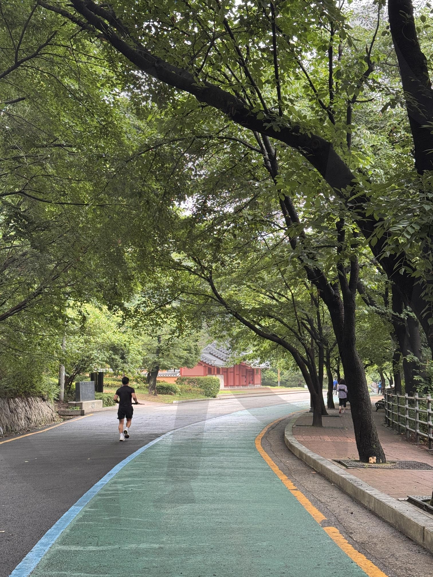 수원 팔달산 여름 풍경 트래킹 러닝 남자 Korea Suwon Paldalsan summer scenery tracking running man | 팔달산, 수원, korean park, running, suwon, Paldalsan, summer scenery, green forest, runner, tracking | 스탠바이 STANDBUY 디지털 콘텐츠