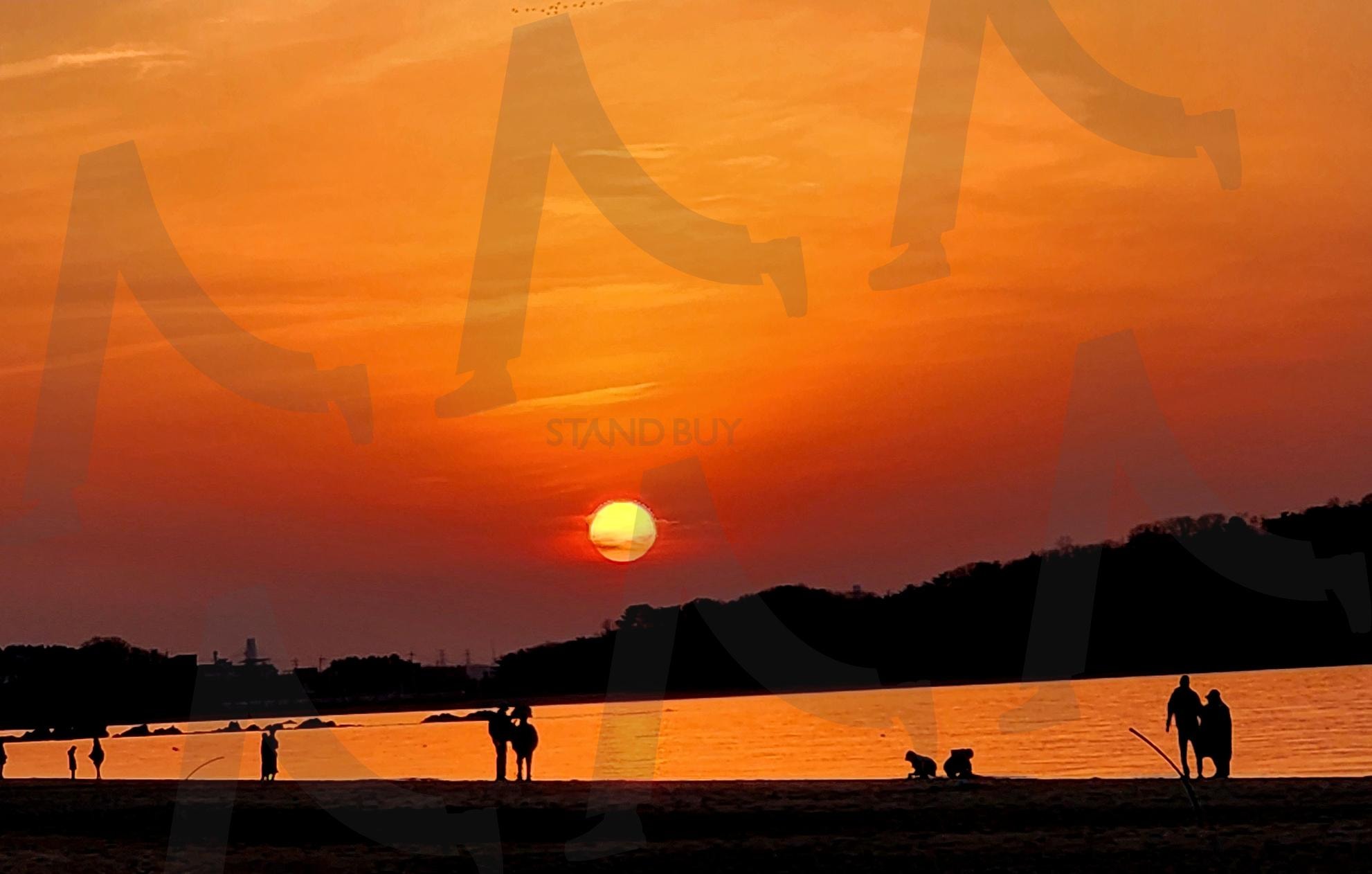 노을 속 도로 위 인물 실루엣 (Silhouette on Sunset Road) | 인물실루엣, 도로, 석양, silhouette, figure, Road, dusk, moody photo | 스탠바이 STANDBUY 디지털 콘텐츠