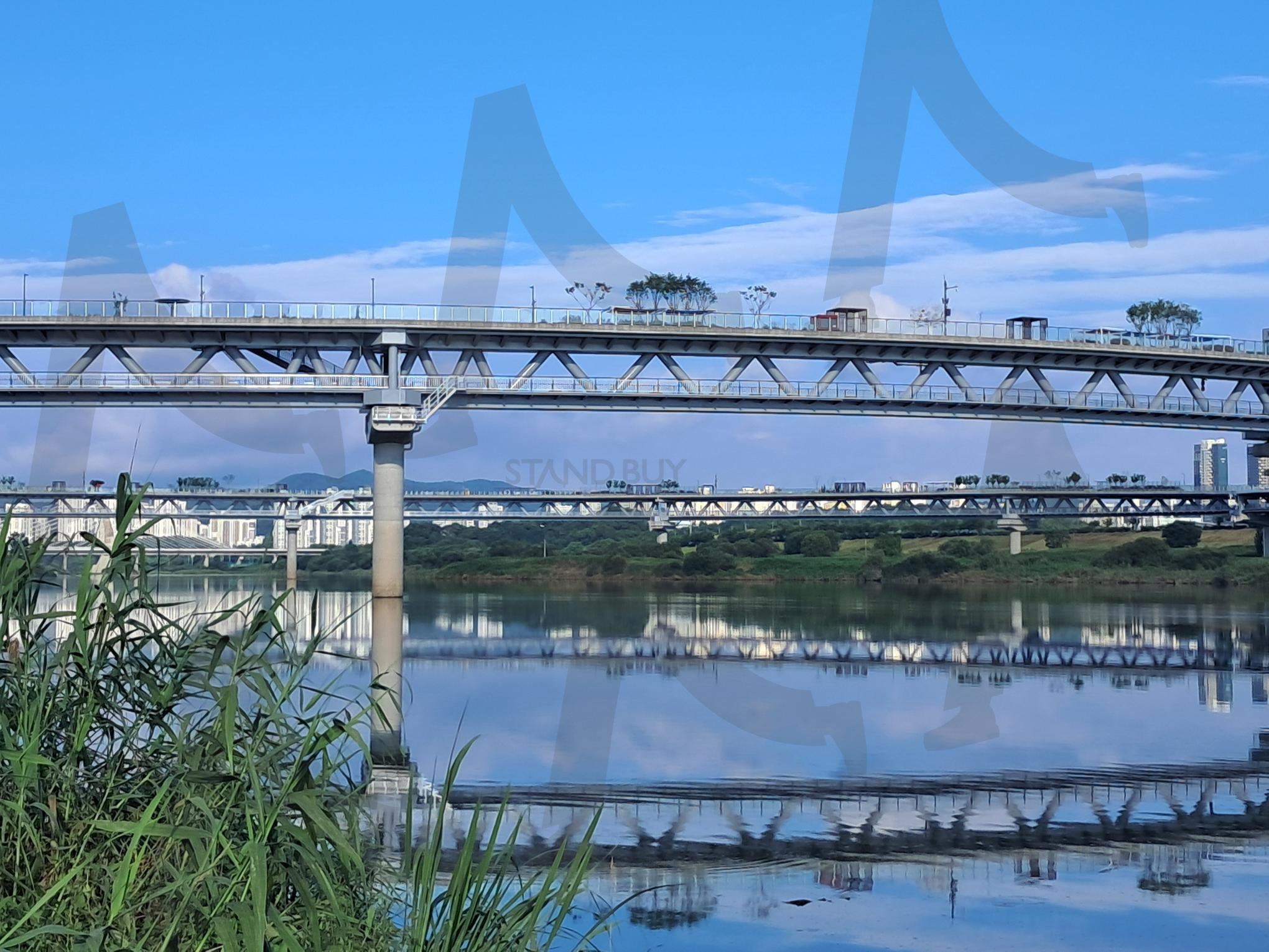 이응교 | 이응교, 세종시, 금강, 시청, 이응교의 전경 | 스탠바이 STANDBUY 디지털 콘텐츠