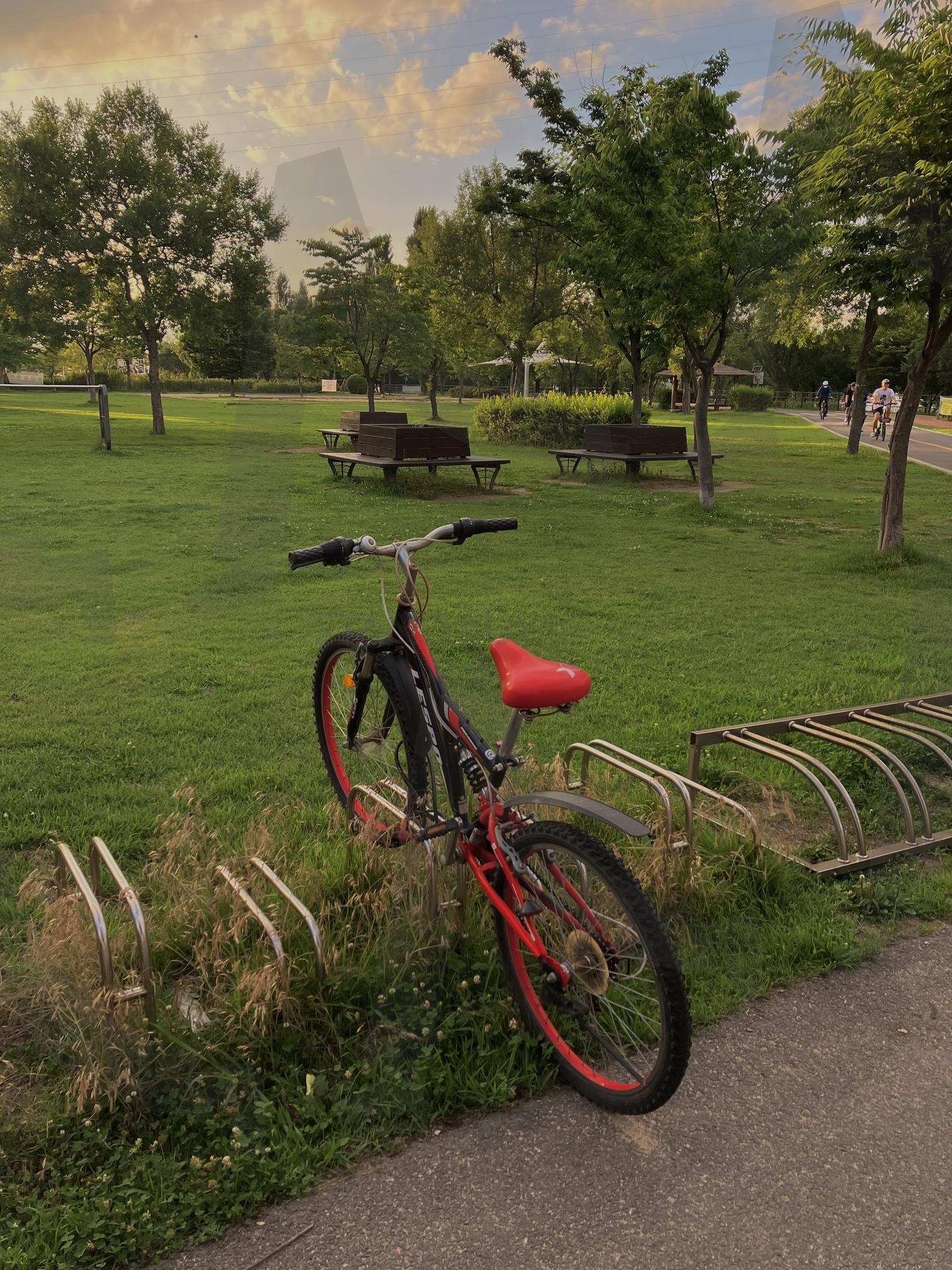 빨간 자전거 | 자전거, 여름, 한강, 한강공원, 나들이, 빨간 자전거, 풀, 나무, 공원 | 스탠바이 STANDBUY 디지털 콘텐츠