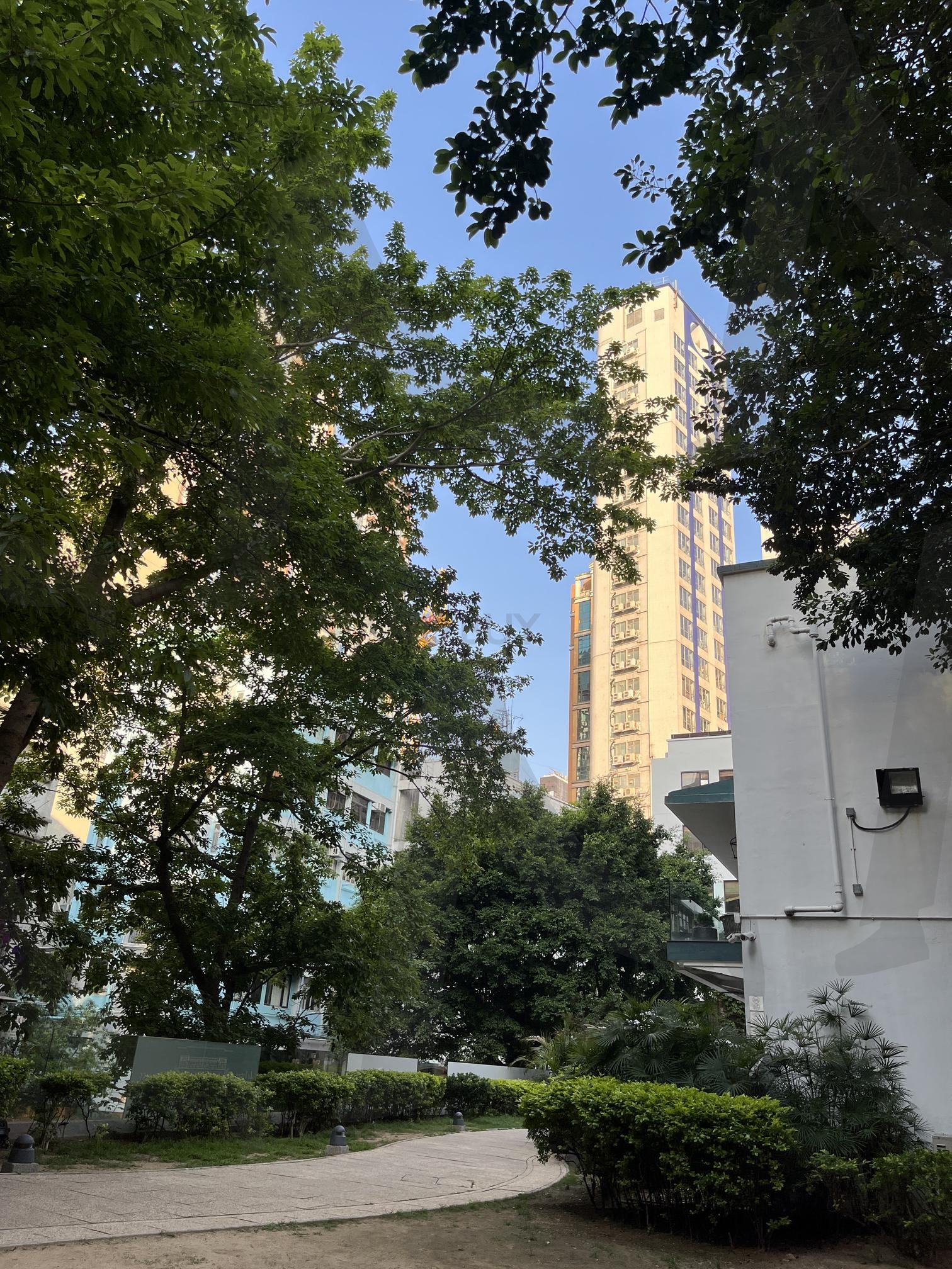 홍콩풍경 | 홍콩, 건물, 빛, 빛과건물, 홍콩건물 | 스탠바이 STANDBUY 디지털 콘텐츠