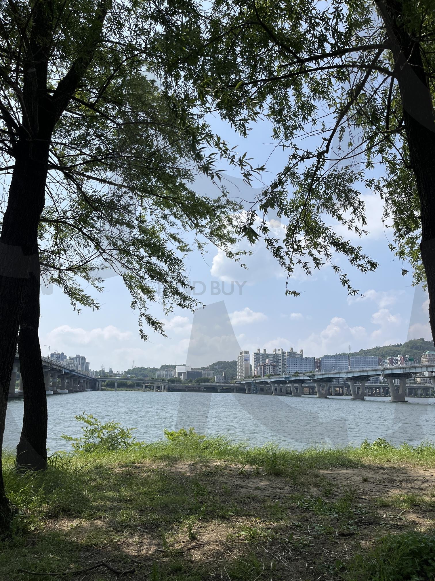 한강 | 한강, 광나루, 돗자리, 풀, 자연, 강 | 스탠바이 STANDBUY 디지털 콘텐츠