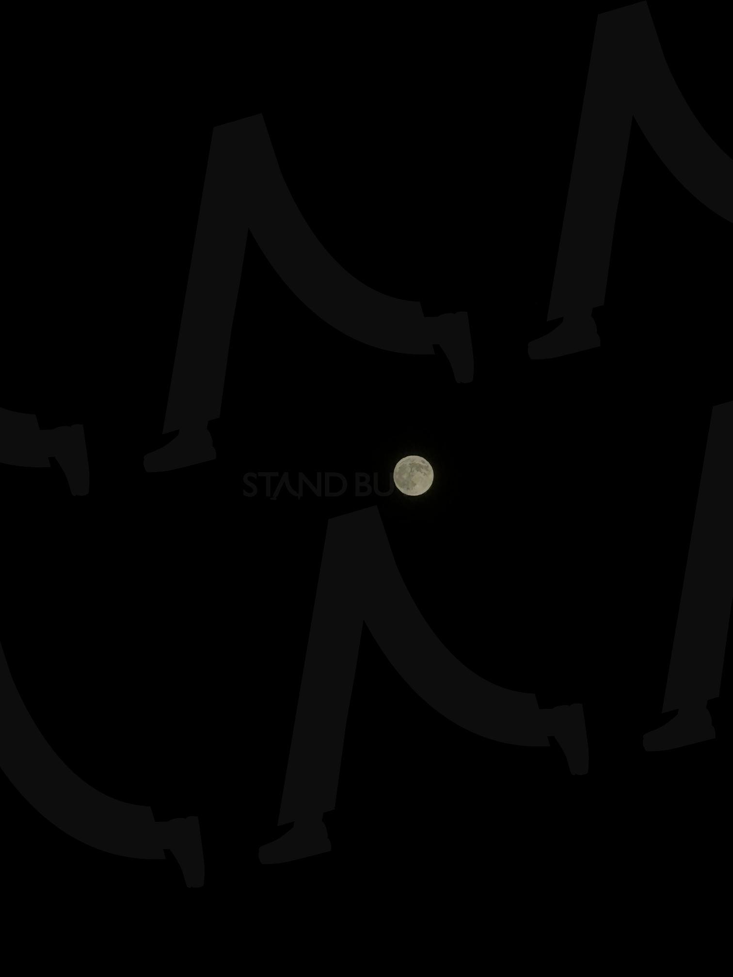 보름달 | 달, 보름달, 달표면, 둥근달, 야경 | 스탠바이 STANDBUY 디지털 콘텐츠