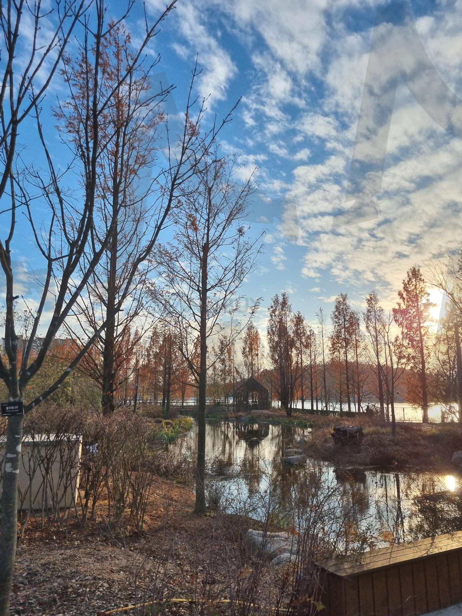 호수 공원 | 공원, 호수, 겨울, 노을, 산책, 하늘, 구름, 나무 | 스탠바이 STANDBUY 디지털 콘텐츠