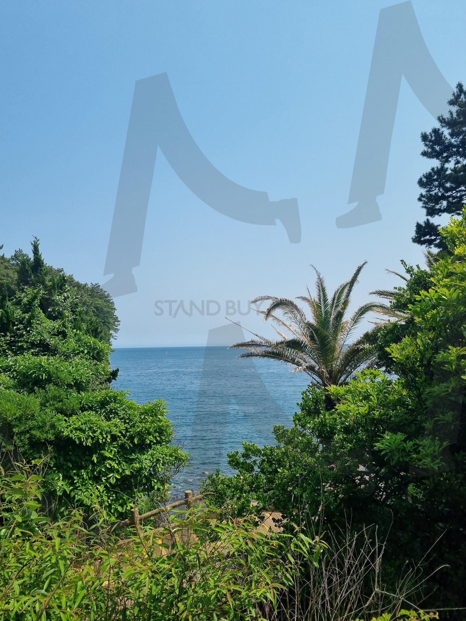 제주도 열대야 | 바다, 제주도, 숲, 자연, 하늘 | 스탠바이 STANDBUY 디지털 콘텐츠