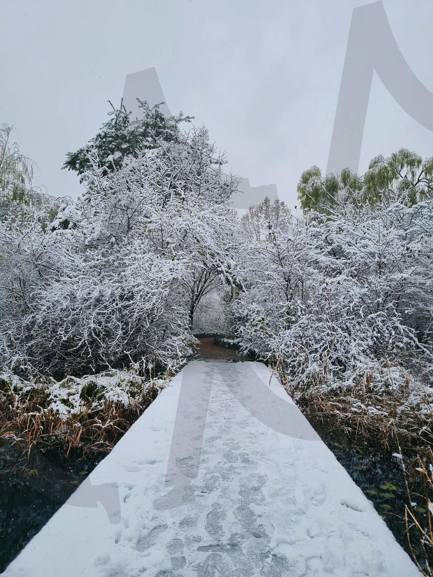 3월에 내린 눈 공원(?) | 눈, 산책, 겨울, 공원, 눈길, 나무, 하얀색, 발자국, 영하 | 스탠바이 STANDBUY 디지털 콘텐츠