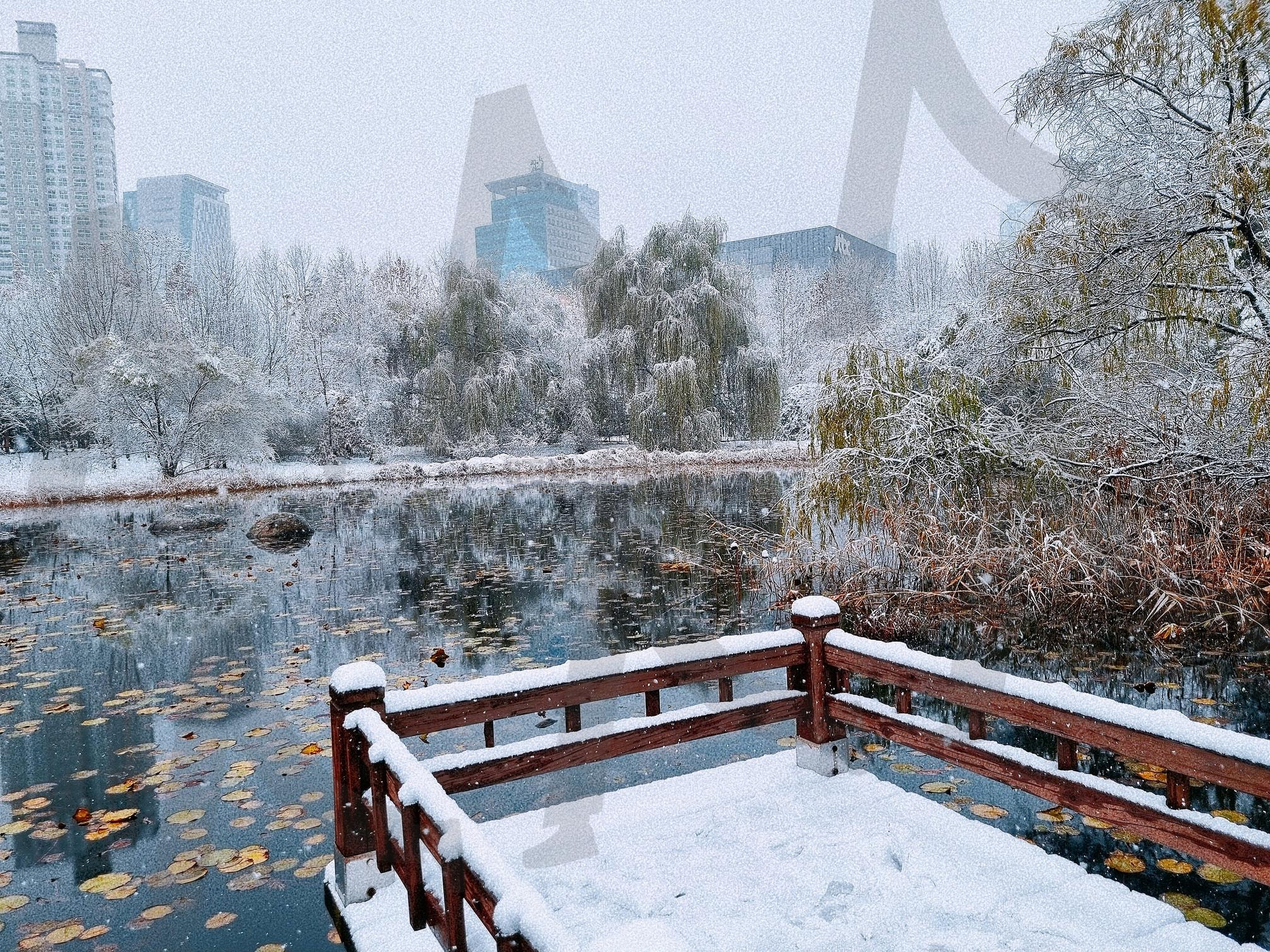눈 덮인 호수 공원 | 눈, 겨울, 공원, 호수, 감성, 연못, 하늘, 나무, 자연 | 스탠바이 STANDBUY 디지털 콘텐츠