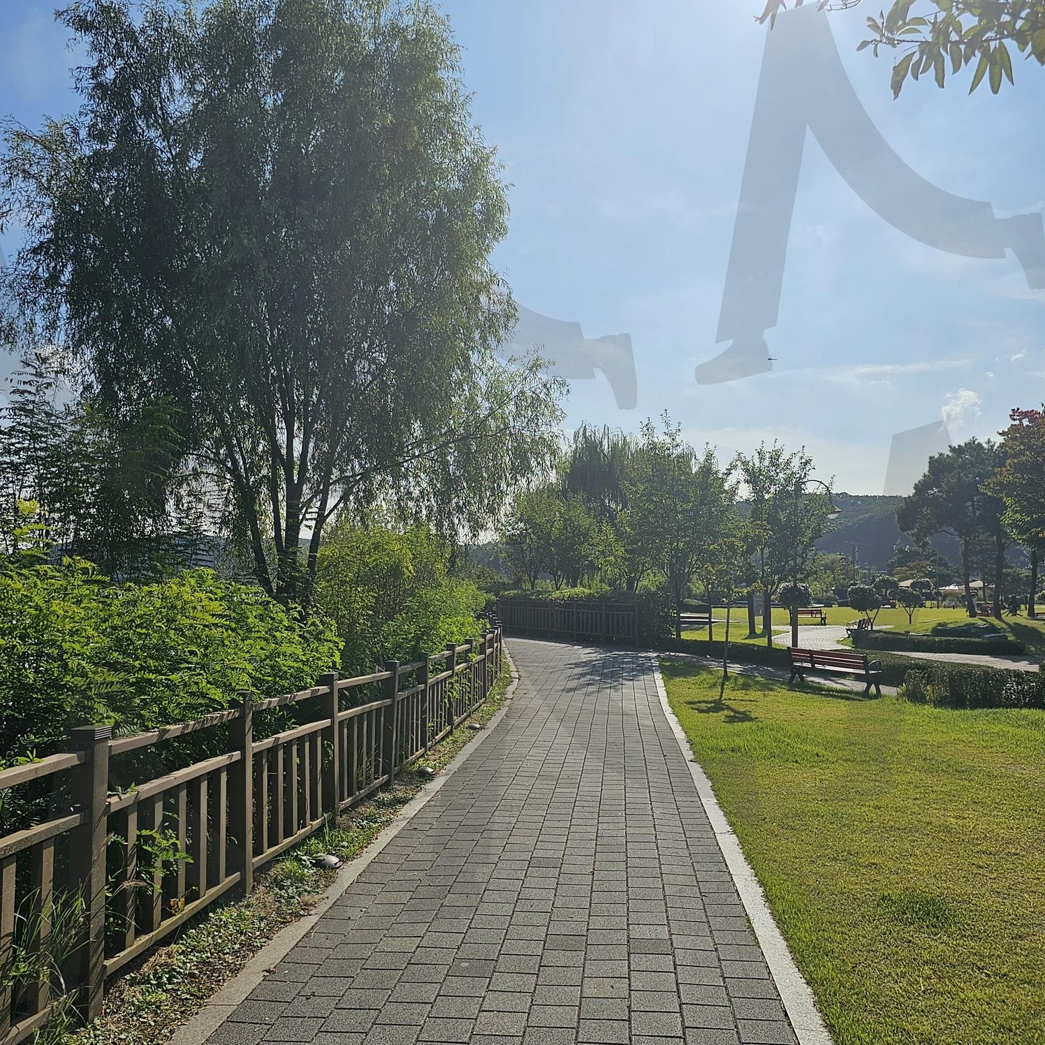 산책길 | 산책, 공원, 여름, 하늘, 나무, 들판 | 스탠바이 STANDBUY 디지털 콘텐츠