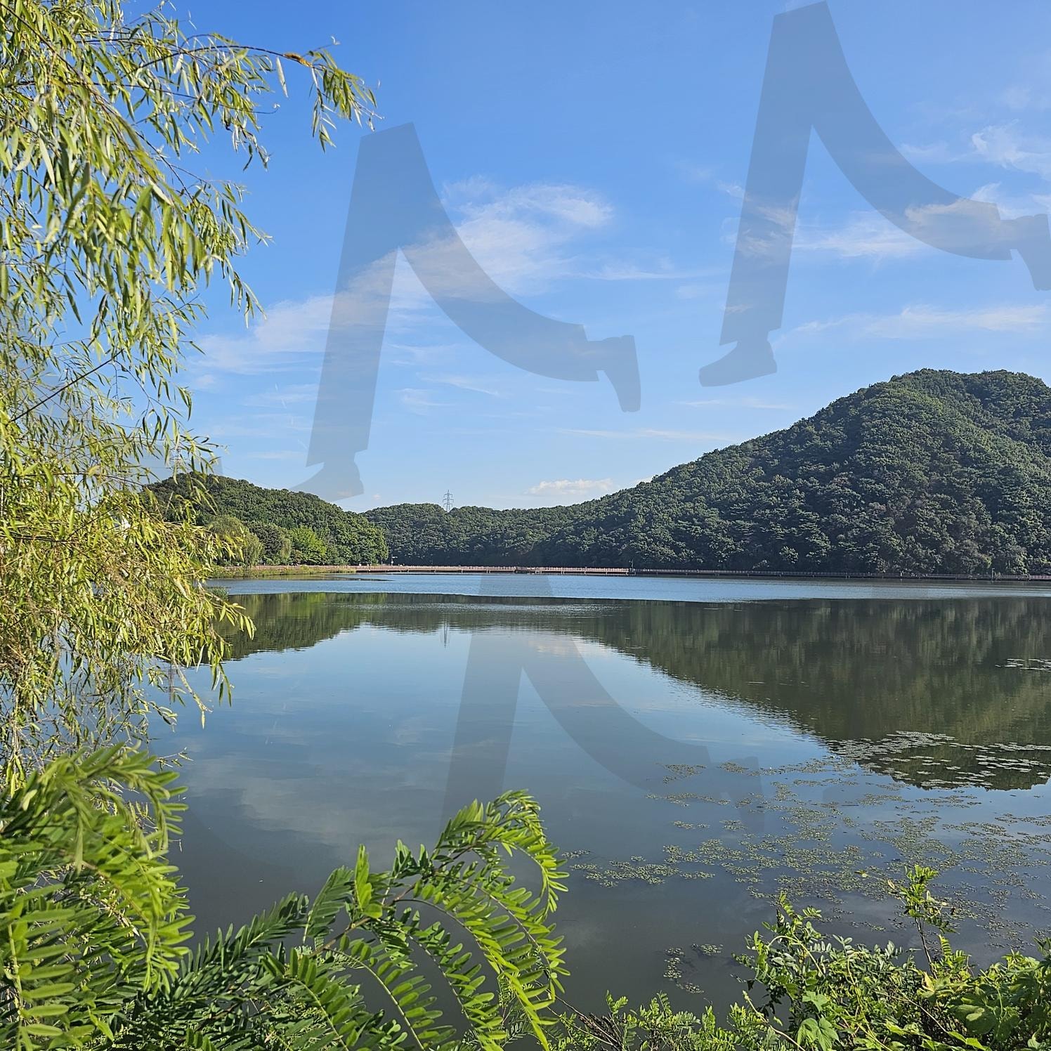 푸른 호수 | 호수, 하늘, 여름, 봄, 산, 자연, 나무 | 스탠바이 STANDBUY 디지털 콘텐츠