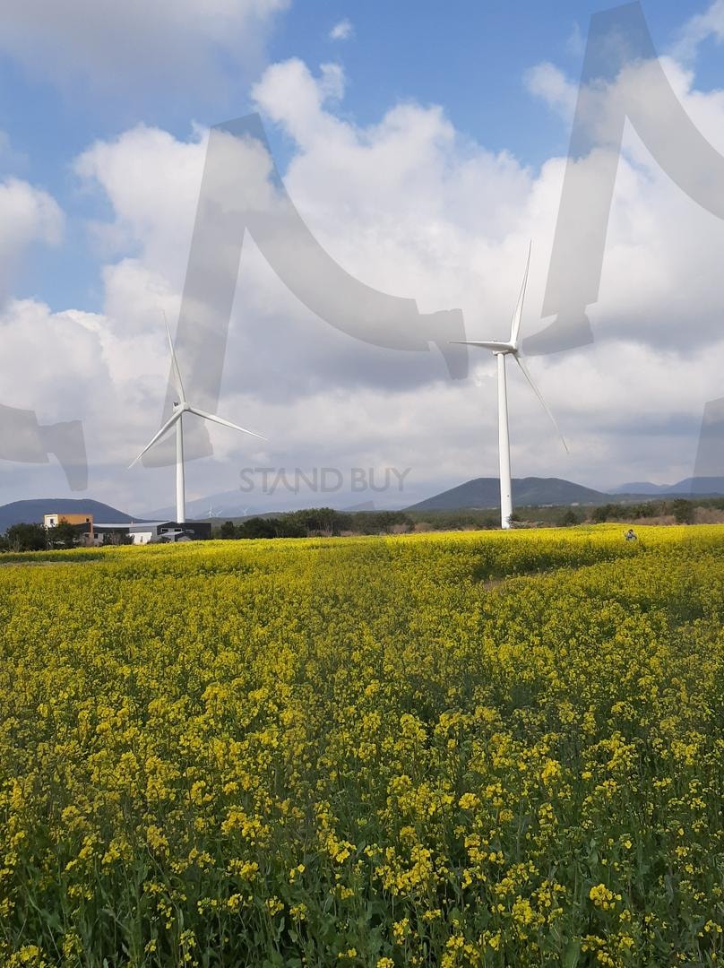 꽃밭 사이 풍력 발전기 | 하늘, 꽃밭, 구름, 자연, 바람, 시골 | 스탠바이 STANDBUY 디지털 콘텐츠
