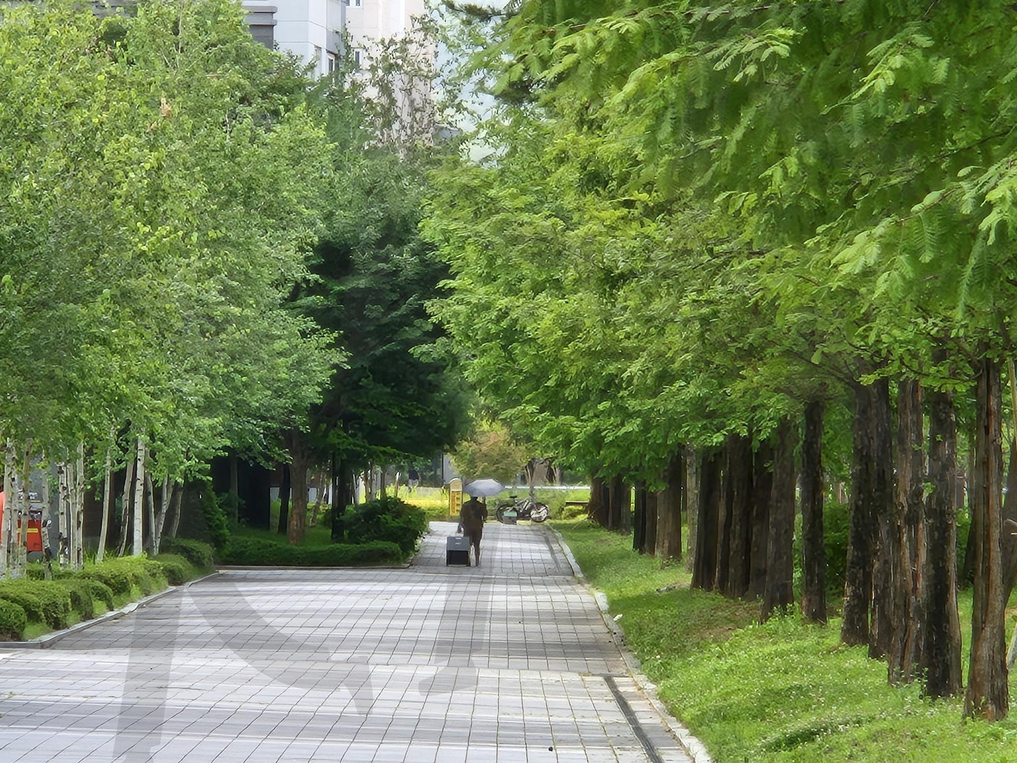 산책로 | 산책로, 세종시 아파트, 주민 휴식공원, 휴식공간의 편안힘, 정서순화와 셉종시 | 스탠바이 STANDBUY 디지털 콘텐츠