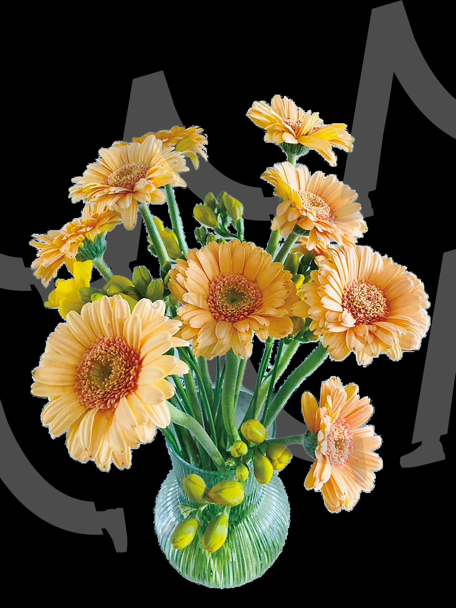 꽃병a spring flower | 꽃병, 꽃, 꽃다발, 프리지아, 거베라, 봄, 봄꽃, vase, Flower, bouquet, freesia, Gerbera, spring, a spring flower, png, 흰배경, 배경없음 | 스탠바이 STANDBUY 디지털 콘텐츠