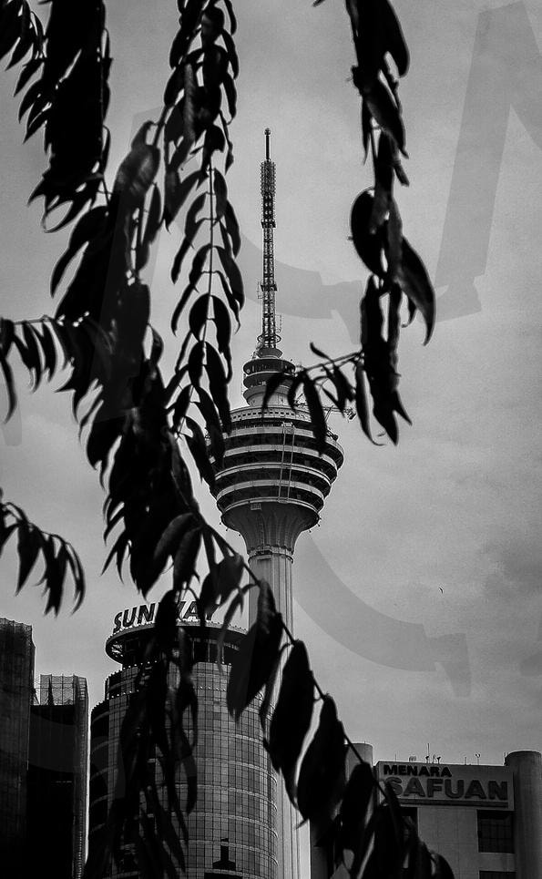 나무 사이로 보이는 KLCC 타워 | 말레이시아, 쿠알라룸푸르, klcc, klcc타워, tree, 나무, 흑백, black and white, black&white, malaysia, Kuala Lumpur, travel, trip, 여행, 기억, 추억 | 스탠바이 STANDBUY 디지털 콘텐츠