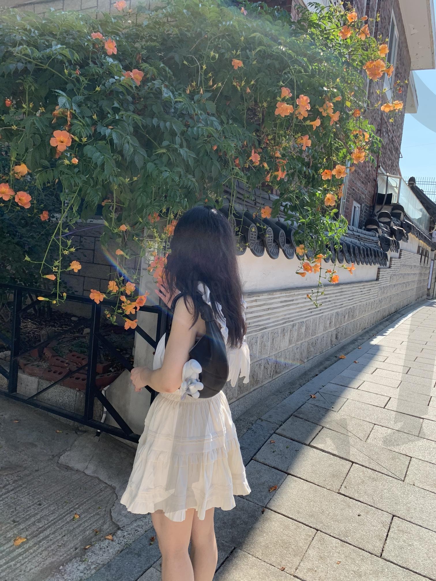 한국 능소화 | 능소화, 한옥, 한국한옥, 능소화감성사진, 한옥능소화 | 스탠바이 STANDBUY 디지털 콘텐츠