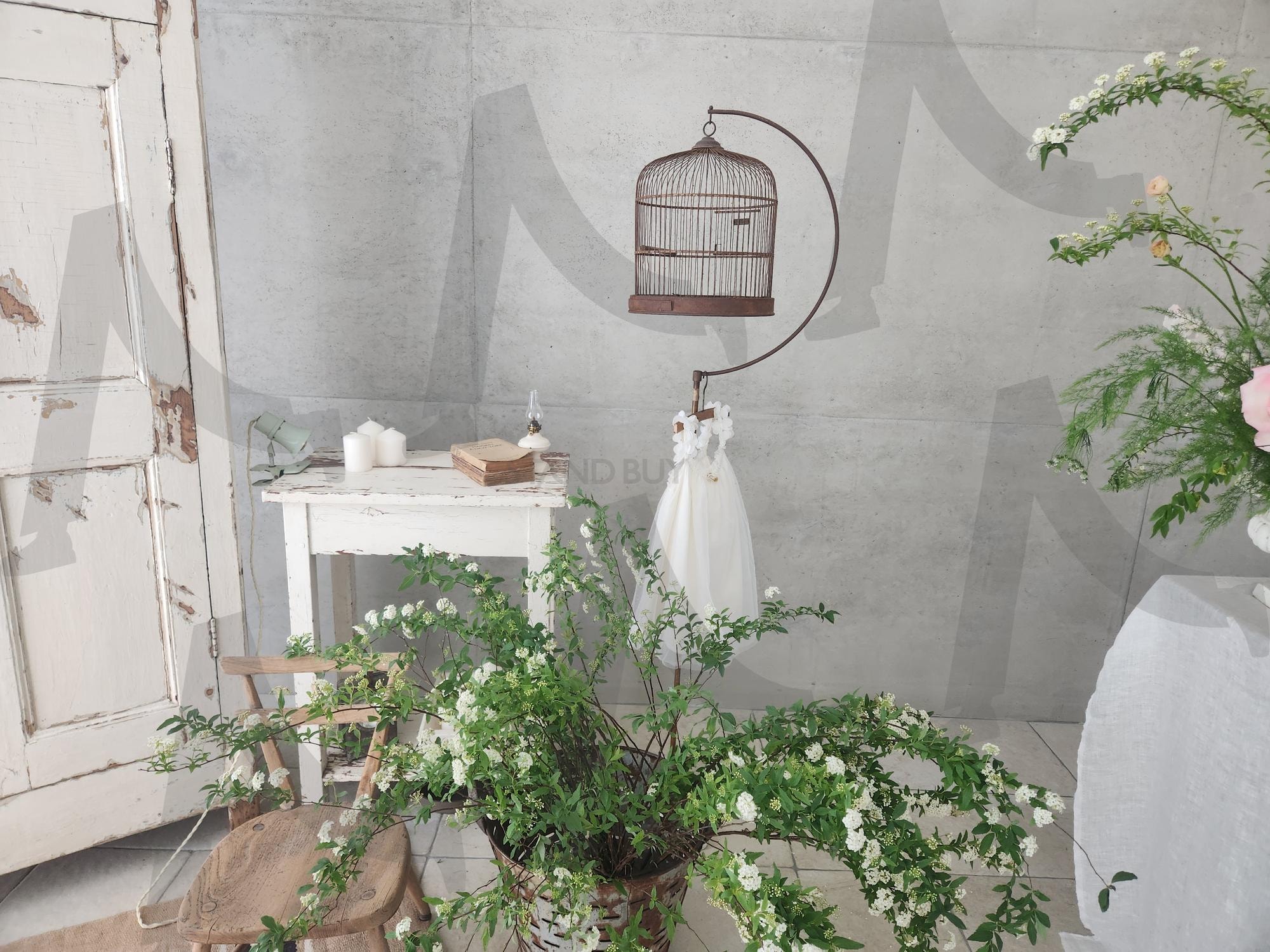 감성배경화면 aesthetic wallpaper | aesthetic wallpaper, dreamy background, 감성배경화면, 분위기있는배경, 무드배경화면, 감성사진 | 스탠바이 STANDBUY 디지털 콘텐츠