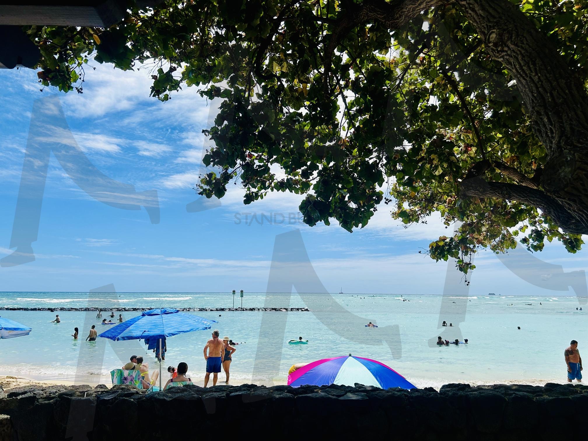 Hawaii beach | hawaii, waikiki, beach, summer, vacation | 스탠바이 STANDBUY 디지털 콘텐츠