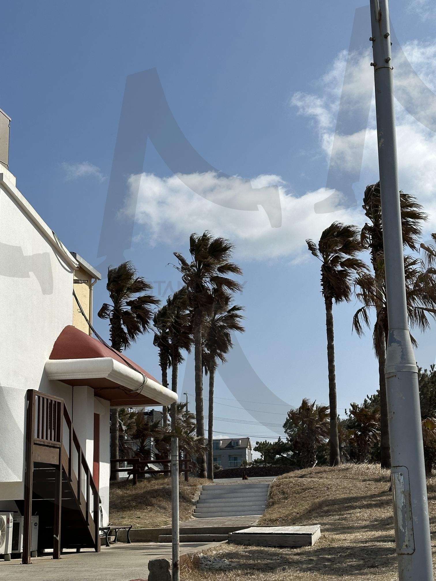 Let’s see the beautiful Jeju Island. | 제주도, pretty, jeju, come, here, happyday | 스탠바이 STANDBUY 디지털 콘텐츠