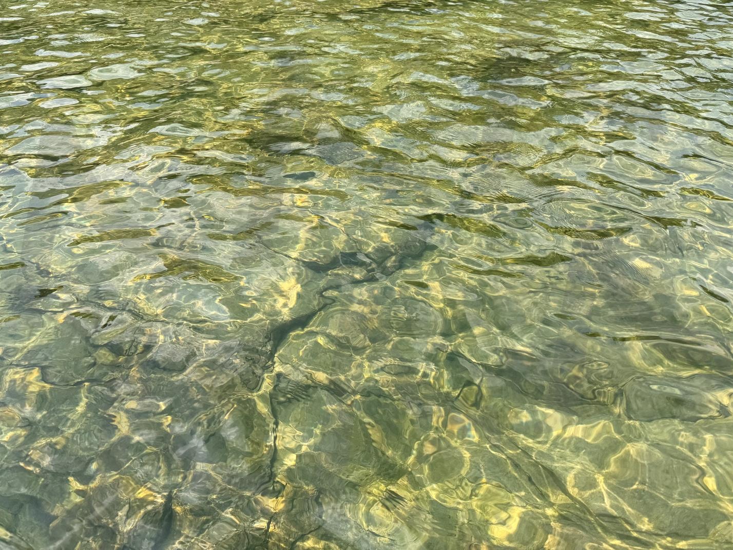 깨끗한 계곡물 | 깨끗, 물, 계곡, 투명, 물놀이 | 스탠바이 STANDBUY 디지털 콘텐츠