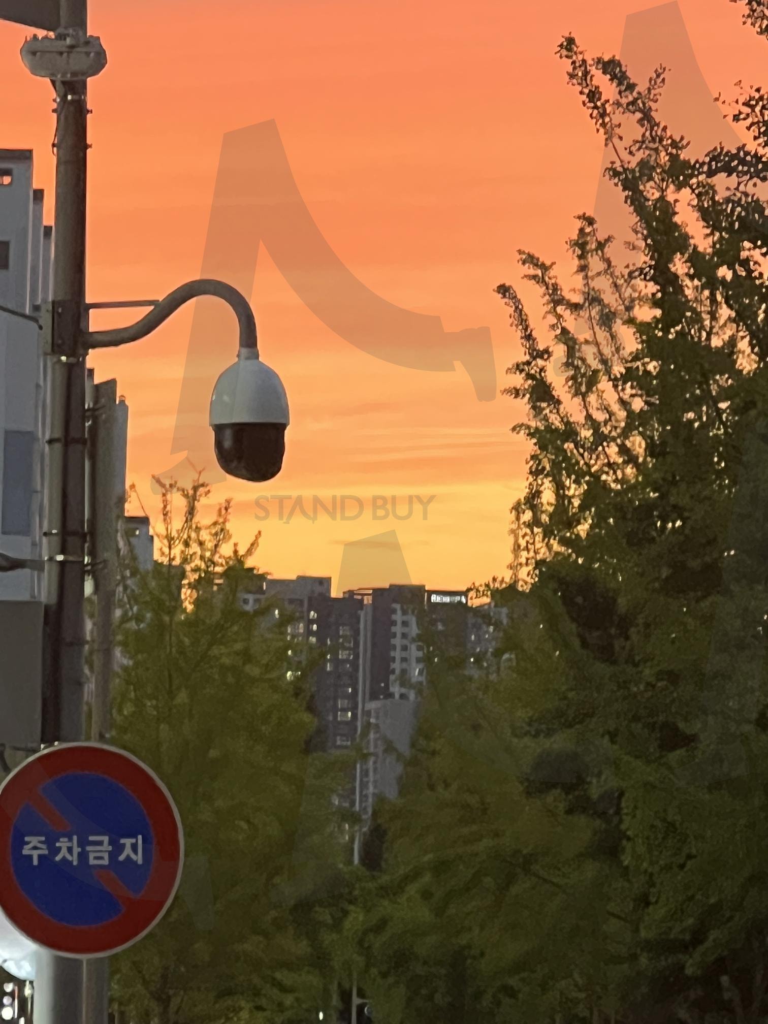 an orange-colored early evening | golden hour, orange sky, evening glow, dusk vibes, dreamy sunset, warm horizon, pastel sky, twilight magic, soft light, nature’s poetry | 스탠바이 STANDBUY 디지털 콘텐츠
