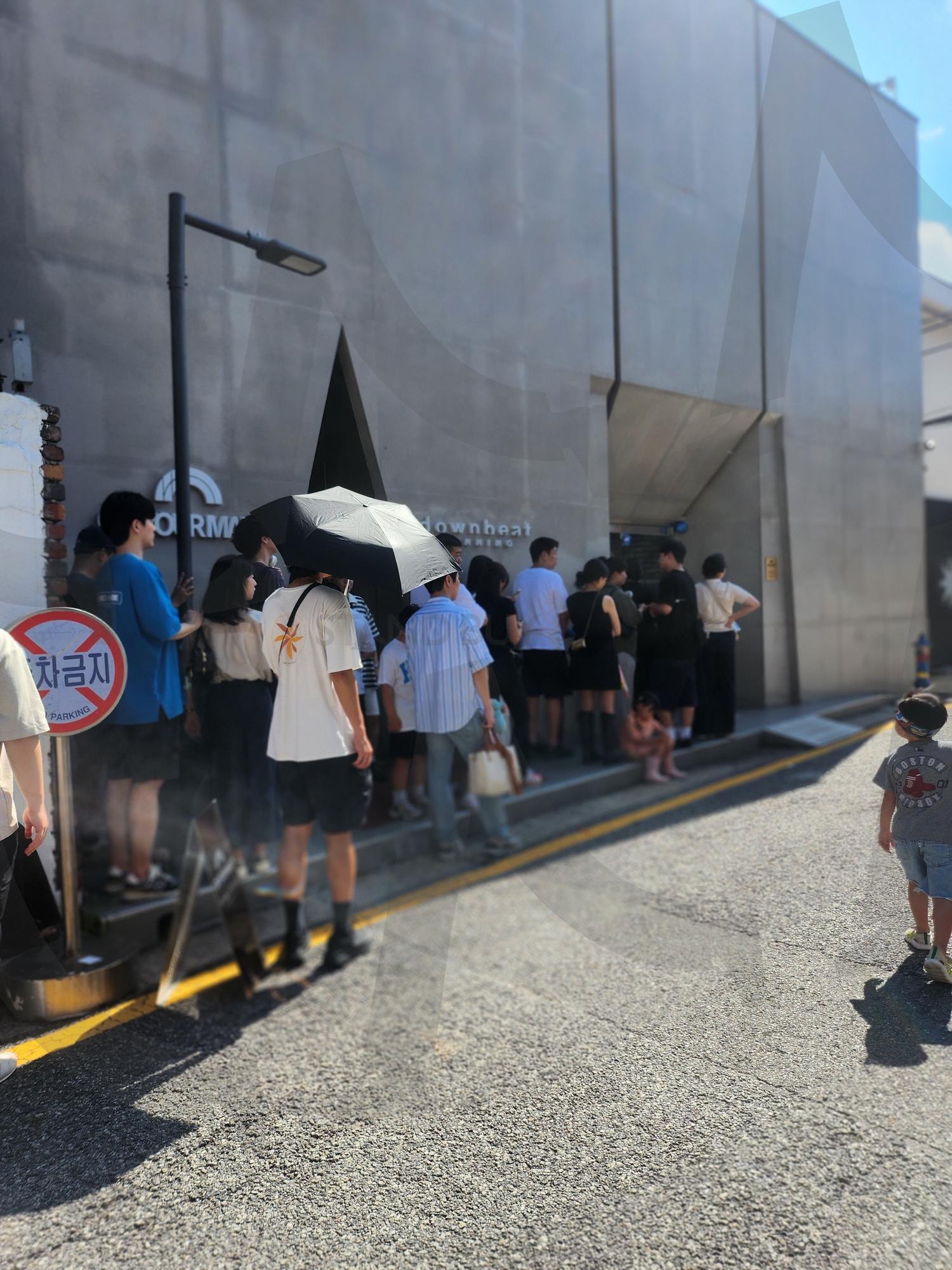 서울 광화문 거리, "Gwanghwamun Street, Seoul" | 한국, 서울, 종로구, 광화문거리, 카페 | 스탠바이 STANDBUY 디지털 콘텐츠