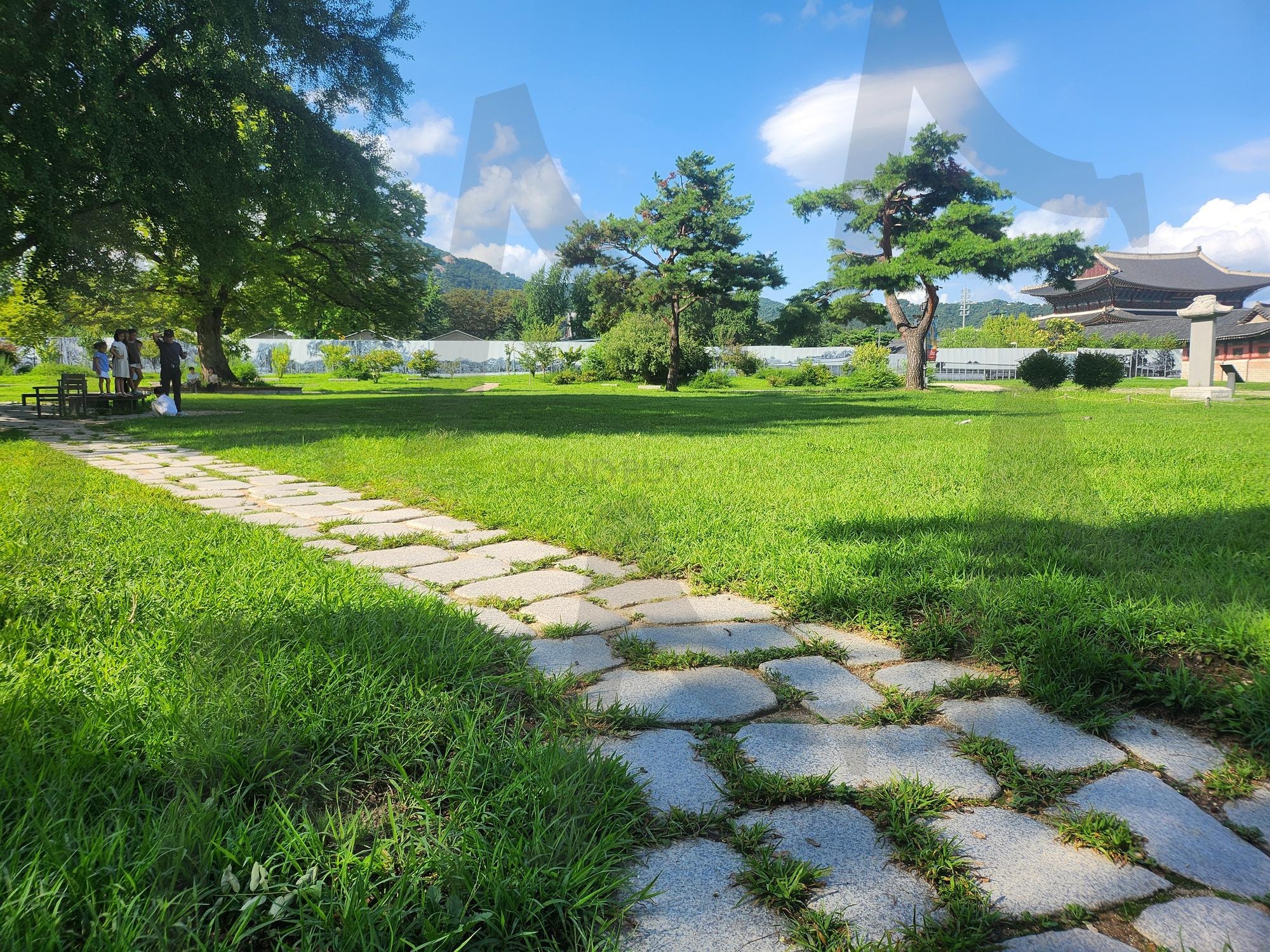 Scenery around the National Palace Museum of Korea – Tradition and Serenity | National Palace Museum of Korea, Seoul, korean heritage, traditional architecture, Joseon Dynasty, gyeongbokgung, cultural site, history, travel photo, korean palace | 스탠바이 STANDBUY 디지털 콘텐츠