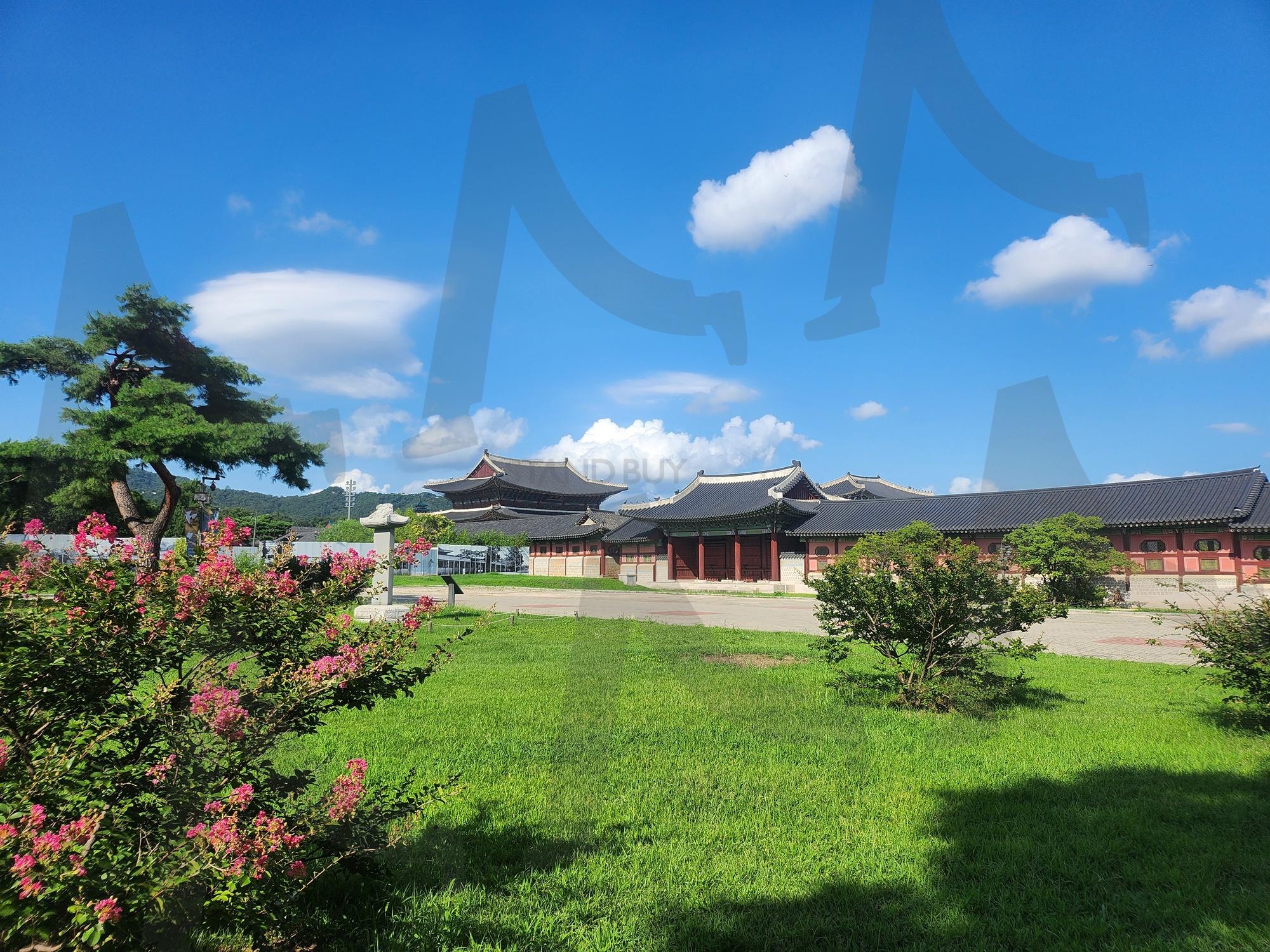 Scenery around the National Palace Museum of Korea – Tradition and Serenity | National Palace Museum of Korea, Seoul, korean heritage, traditional architecture, Joseon Dynasty, gyeongbokgung, cultural site, history, travel photo, korean palace | 스탠바이 STANDBUY 디지털 콘텐츠