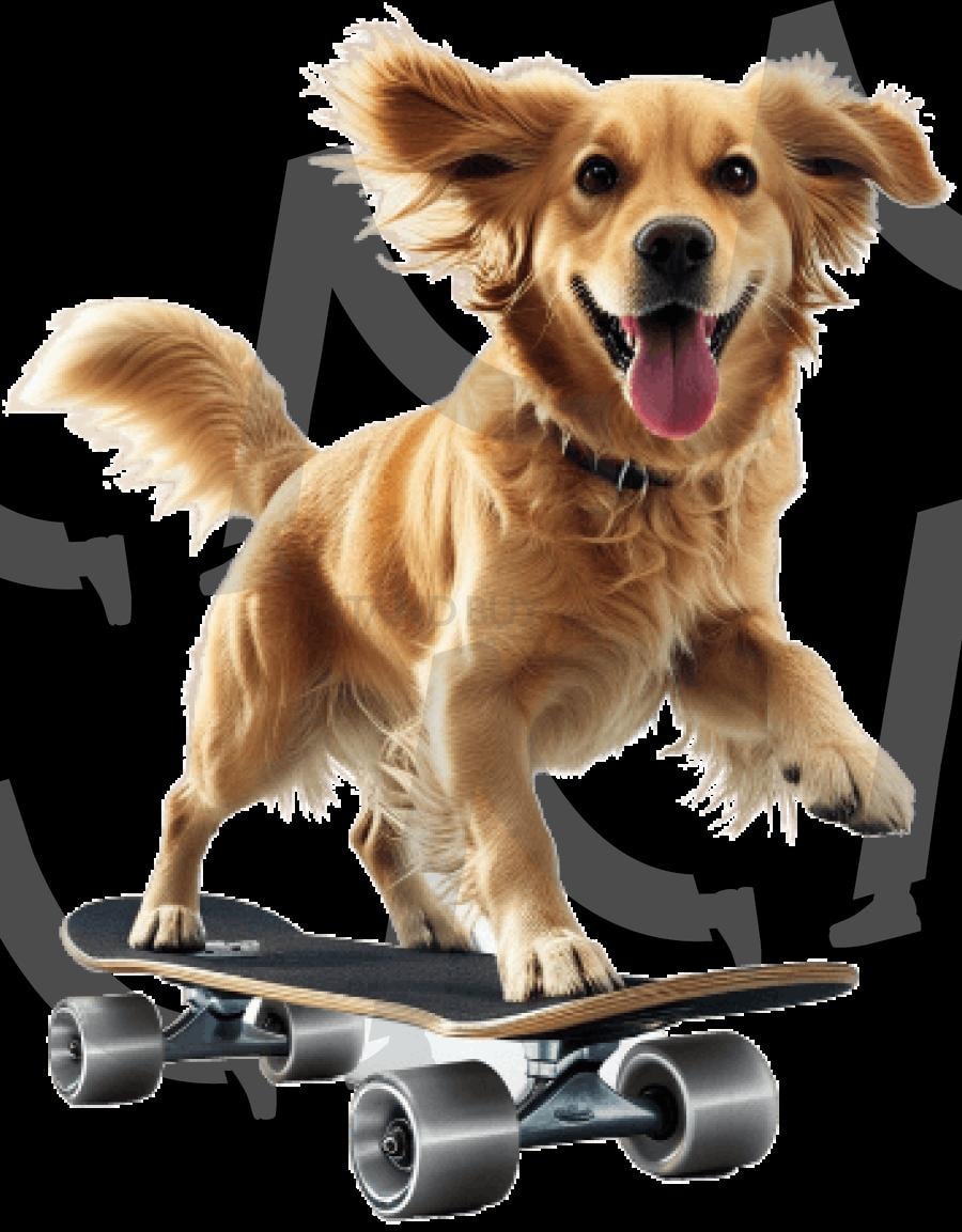 스케이드보드 타는 리트리버 | 리트리버, 강아지, 개, 댕댕이, 반려동물, 가족, ai | 스탠바이 STANDBUY 디지털 콘텐츠