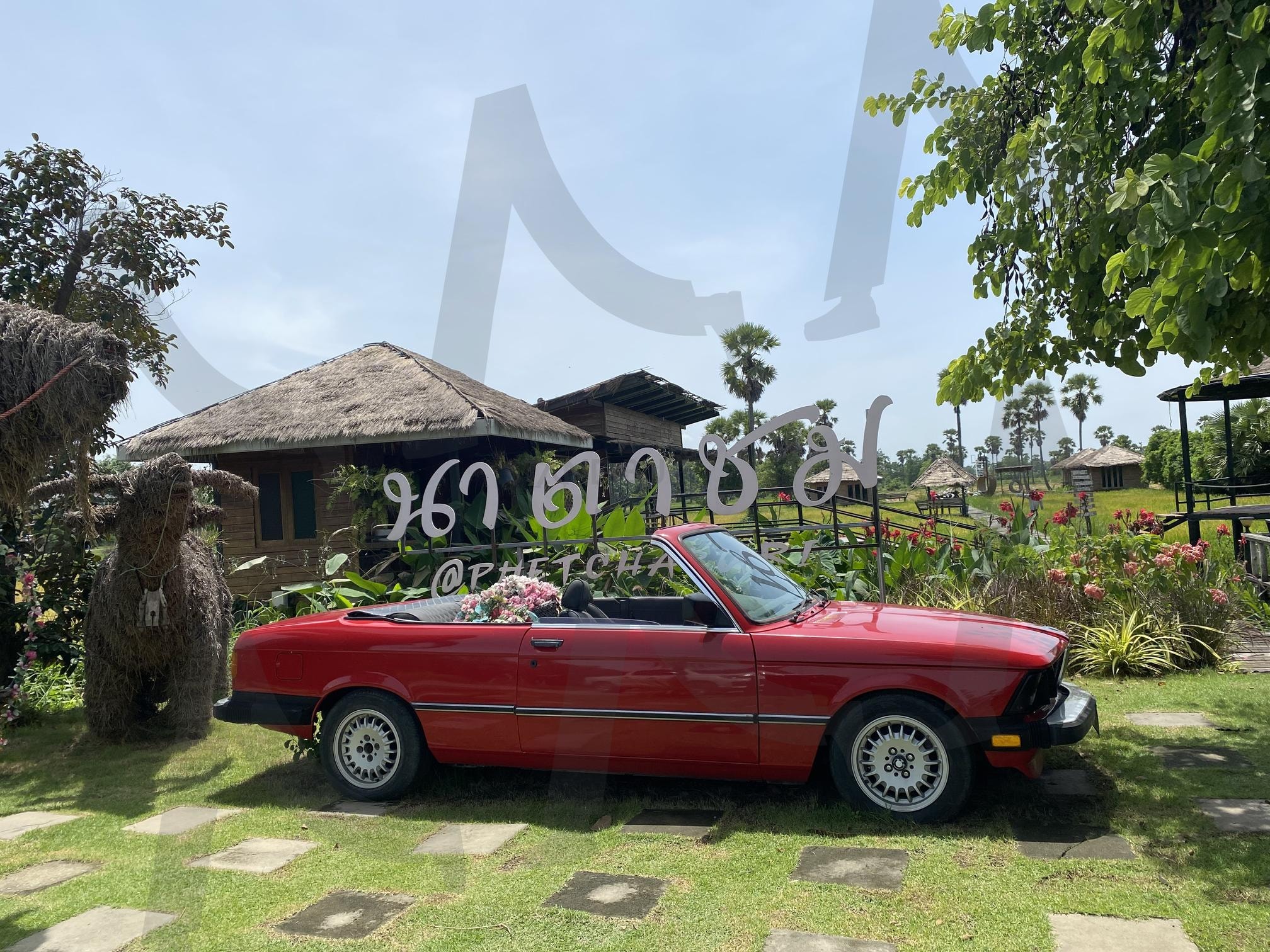 태국 카페(thailand cafe) | 태국 카페, 논 위에 위치한 카페, 카페입구, 자동차장식, 태국 전통가옥 | 스탠바이 STANDBUY 디지털 콘텐츠