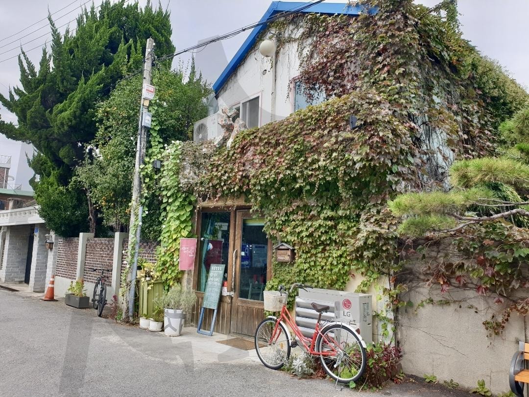 골목길 감성 풍경 | 골목길, 카페 감성, 덩굴 식물, 초록빛 건물, 빈티지 분위기, 감성 사진, 힐링 공간 | 스탠바이 STANDBUY 디지털 콘텐츠