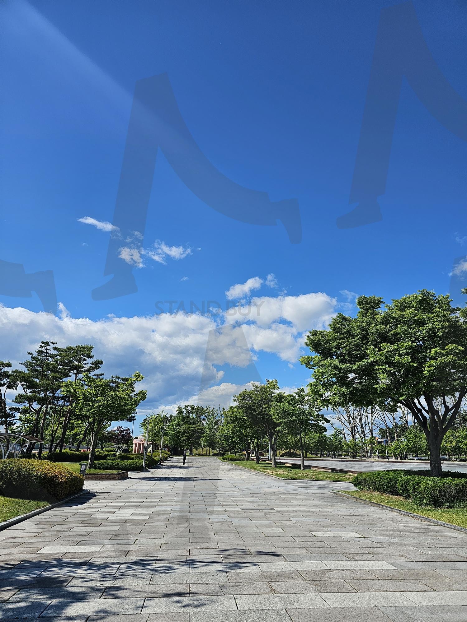 자연 속 한가로운 오후 | 푸른하늘, 초록나무, 공원산택, 맑은날, 자연풍경, 여유로운시간, 햇살가득, 자연과함께, 힐링타임, 청명한하늘, 자연사랑, 평화로운풍경, 산책길, 푸르름, 감성사진 | 스탠바이 STANDBUY 디지털 콘텐츠