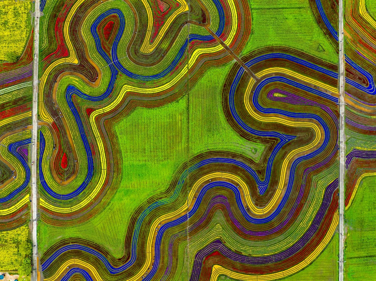 추상화 같은 꽃밭 | 순천, 여행, 드론, 추상화, 힐링 | 스탠바이 STANDBUY 디지털 콘텐츠