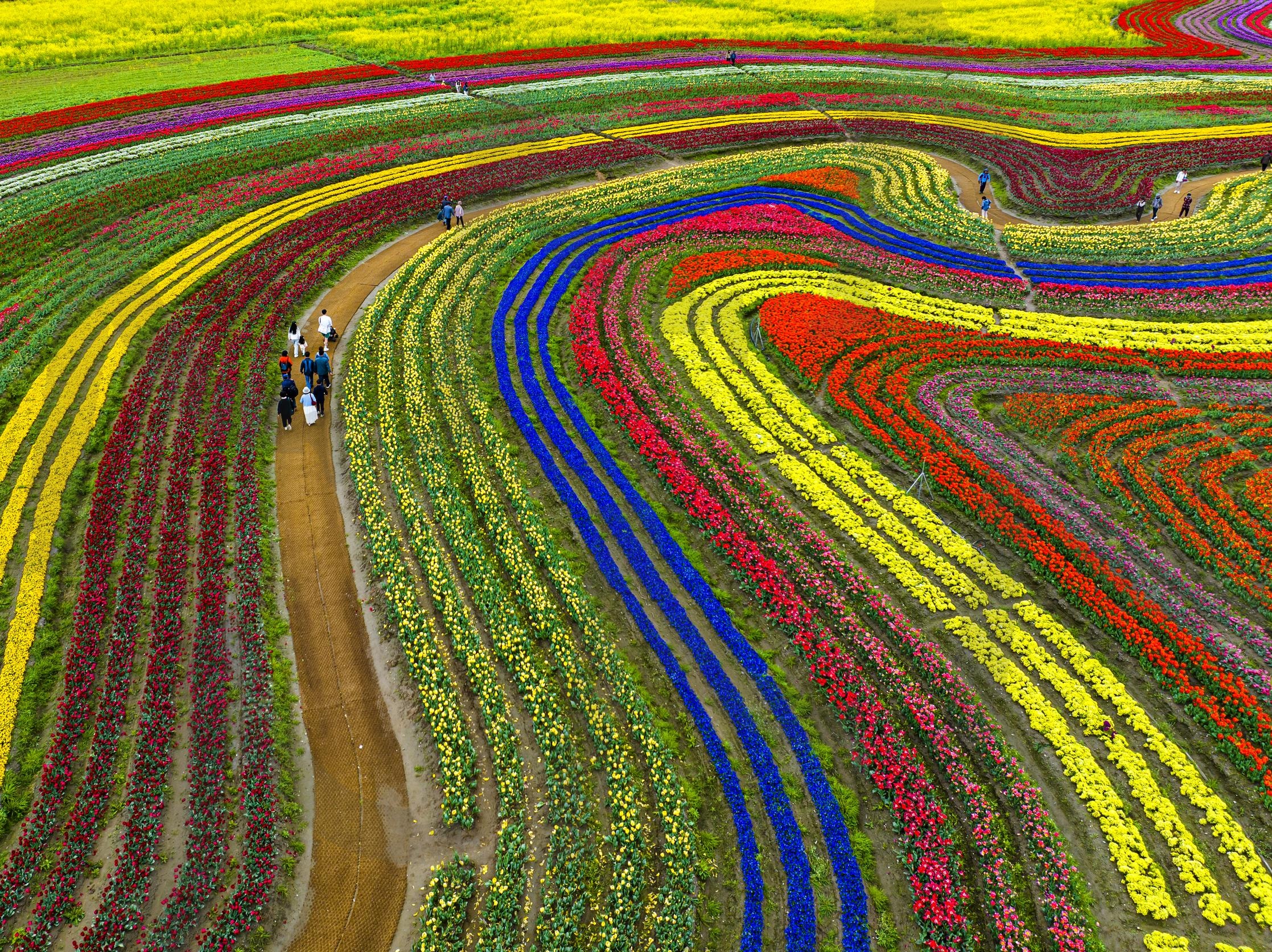 천상의 화원 | 순천, 여행, 꽃, 힐링, 유혹 | 스탠바이 STANDBUY 디지털 콘텐츠