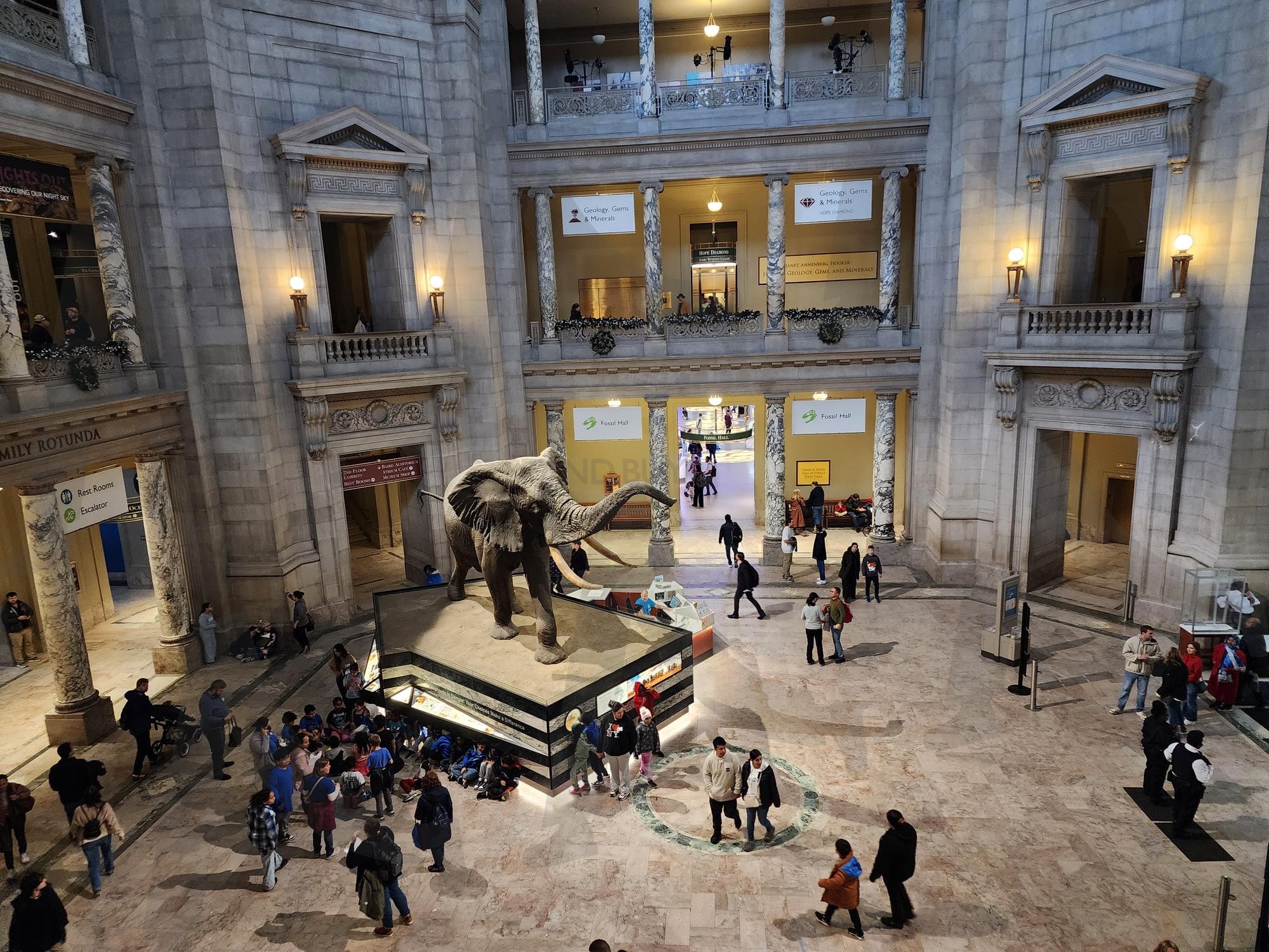 A Moment at the American Museum of Natural History | American Museum of Natural History, New York travel, museum photography, Cultural Heritage, travel photography | 스탠바이 STANDBUY 디지털 콘텐츠