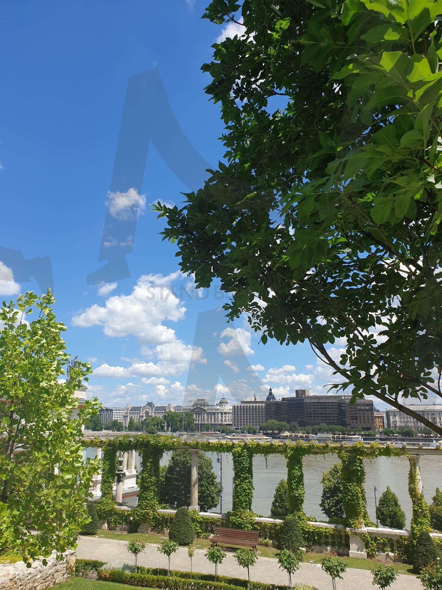 풍경사진 | 여름, 풍경, 나무, 구름, 하늘 | 스탠바이 STANDBUY 디지털 콘텐츠