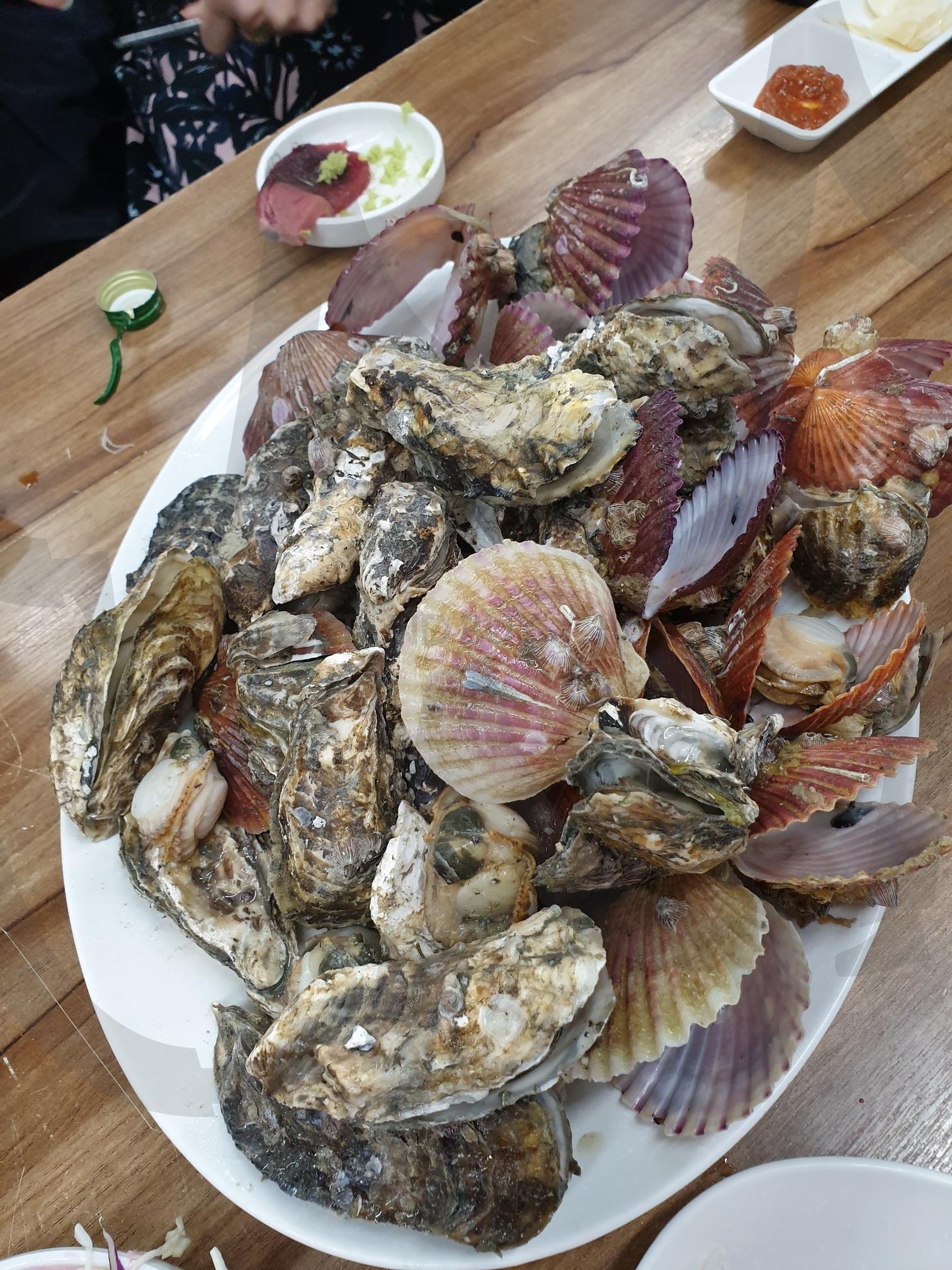 조개찜 | 가리비, 조개, 석화, 술안주, 노량진 | 스탠바이 STANDBUY 디지털 콘텐츠