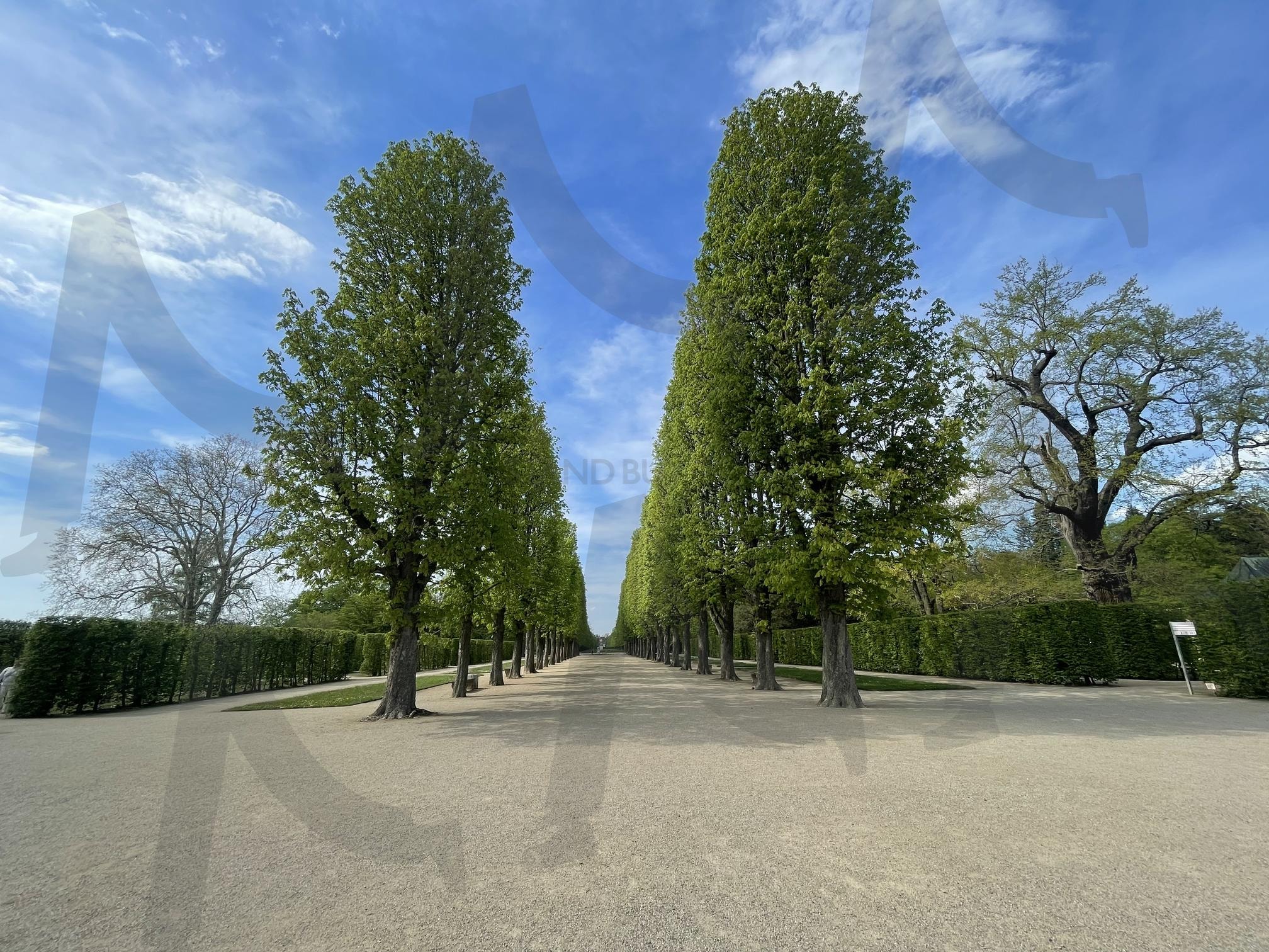 정원 | 공원, 산책, 독일, 드레스덴, 정원 | 스탠바이 STANDBUY 디지털 콘텐츠