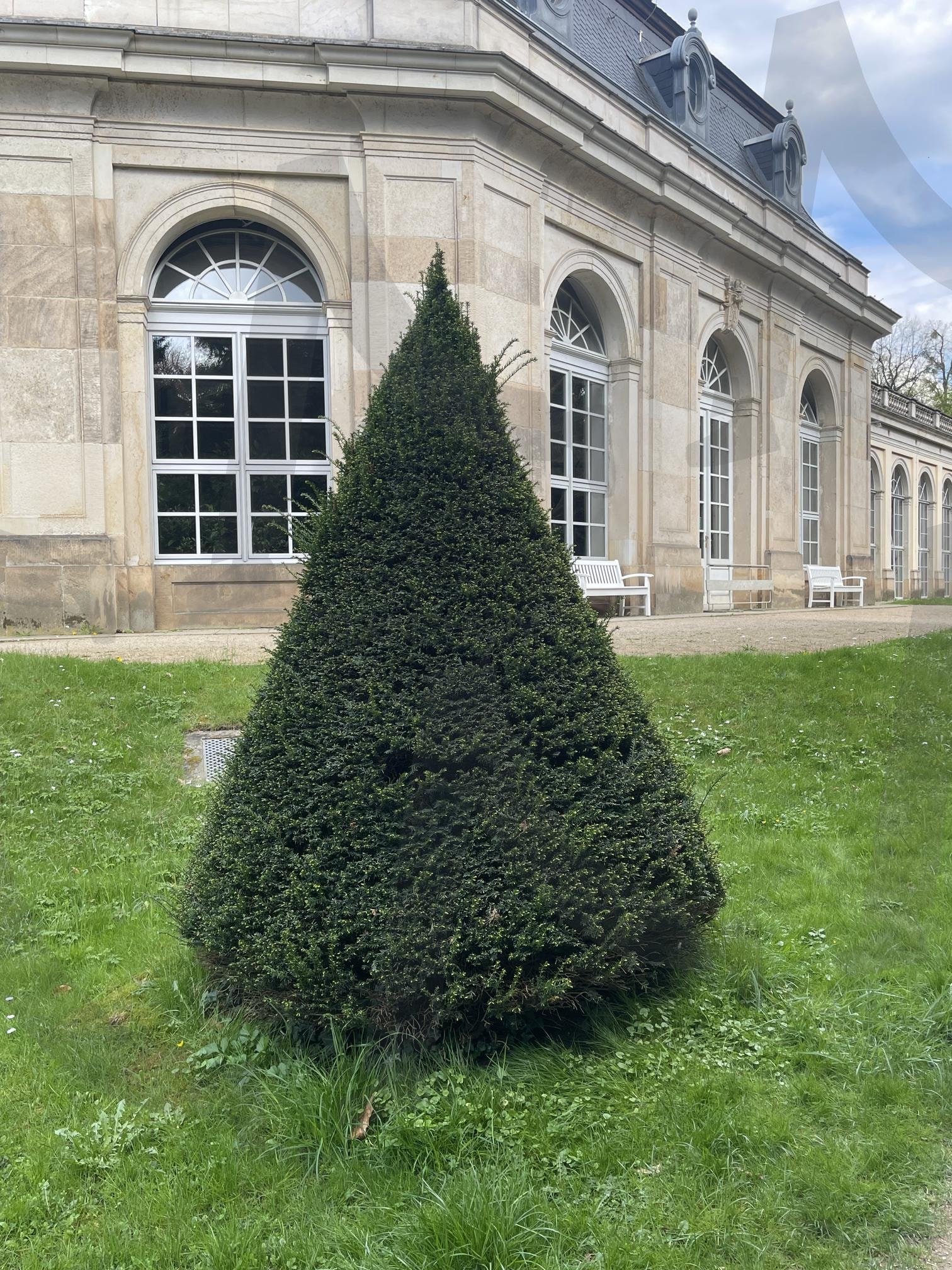 공원산책 | 공원, 산책, 정원, 숲속, 풍경, 하늘 | 스탠바이 STANDBUY 디지털 콘텐츠
