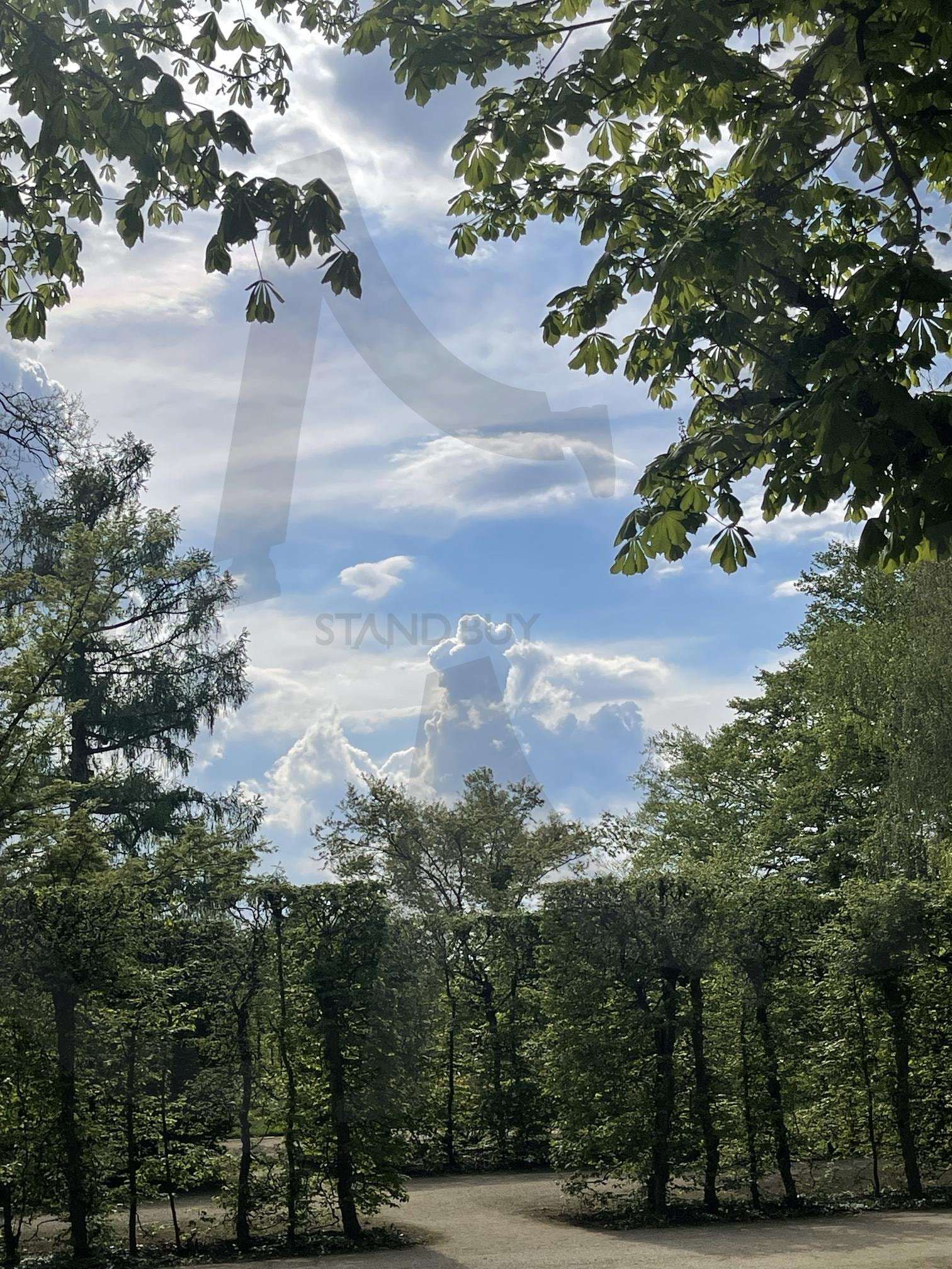 공원 | 독일, 드레스덴, 공원, 산책, 정원 | 스탠바이 STANDBUY 디지털 콘텐츠