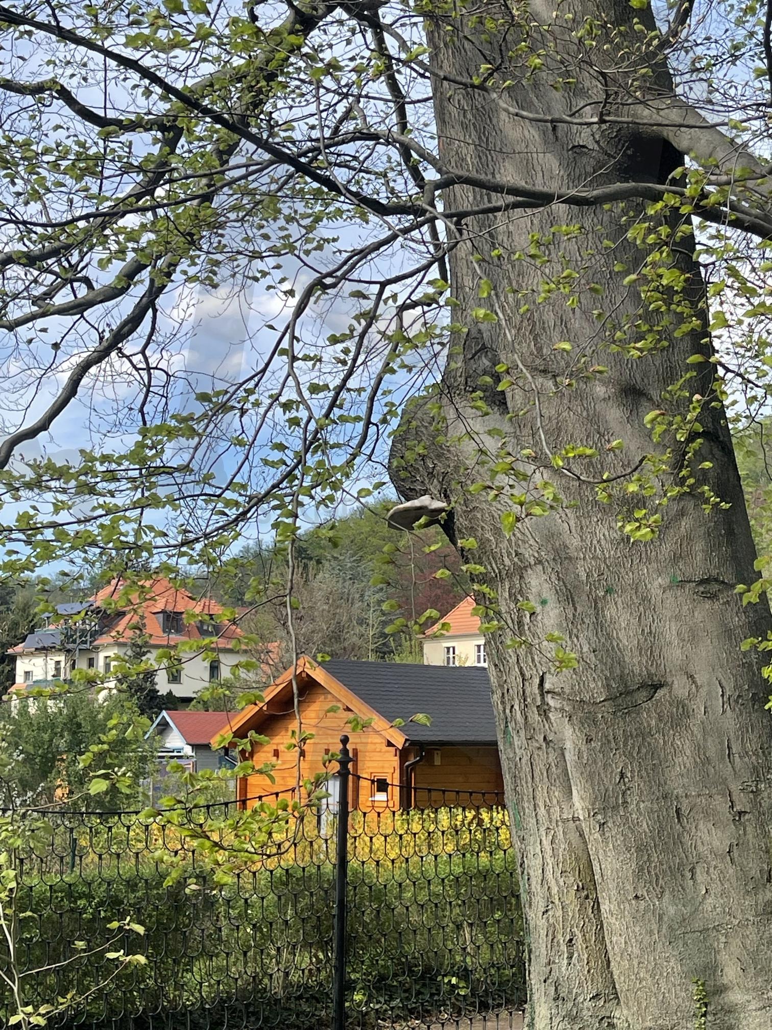 독일풍경 | 풍경, 하늘, 구름, 산책, 공원, 집 | 스탠바이 STANDBUY 디지털 콘텐츠