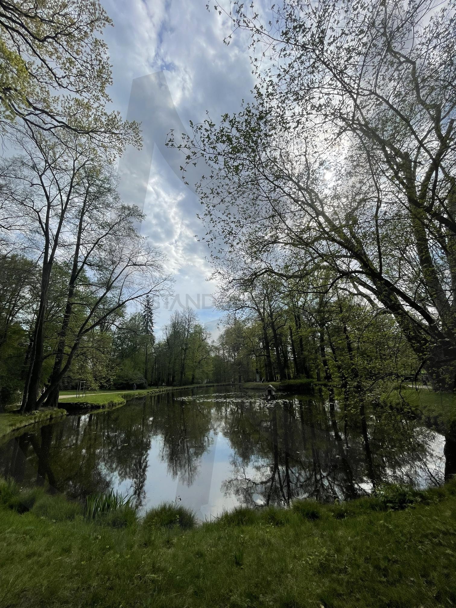 산책 | 독일, 공원, 산책, 나무, 울창한, 숲 | 스탠바이 STANDBUY 디지털 콘텐츠