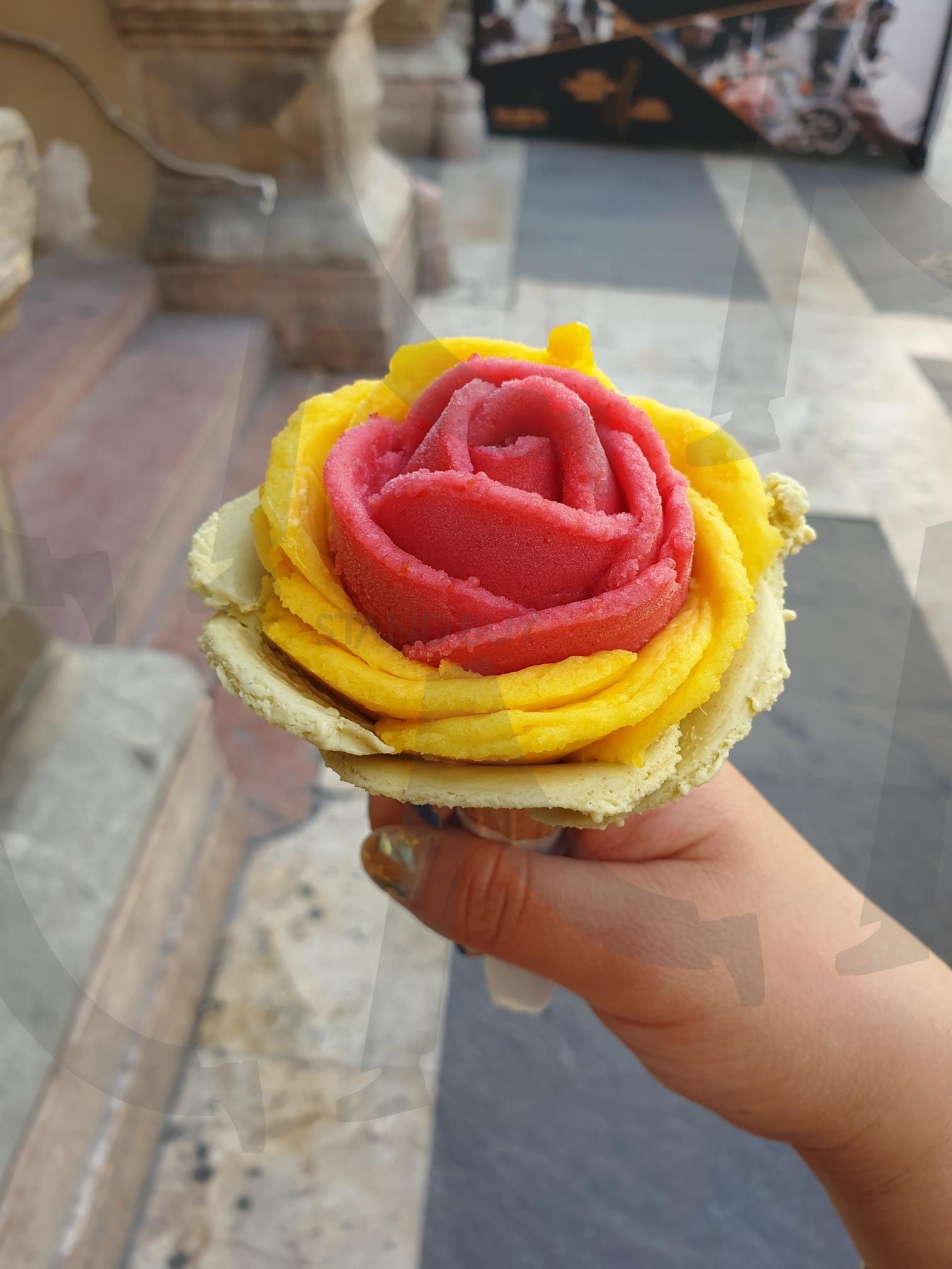 헝가리 | 장미꽃, 젤라또, 아이스크림, 휴가, 휴식 | 스탠바이 STANDBUY 디지털 콘텐츠